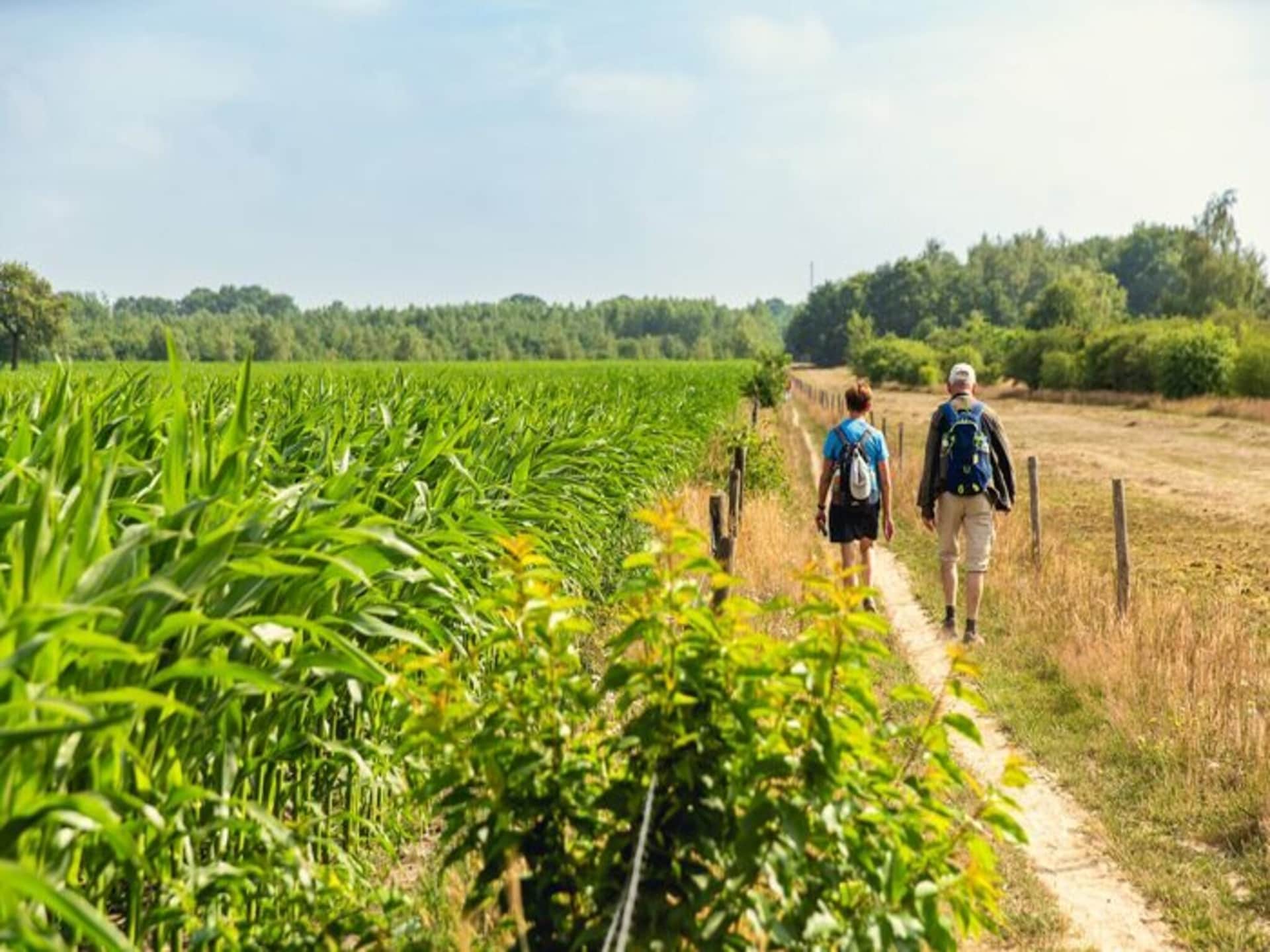 Stijlvol chalet aan de Regge in Zuna voor 3 personen - foto 26