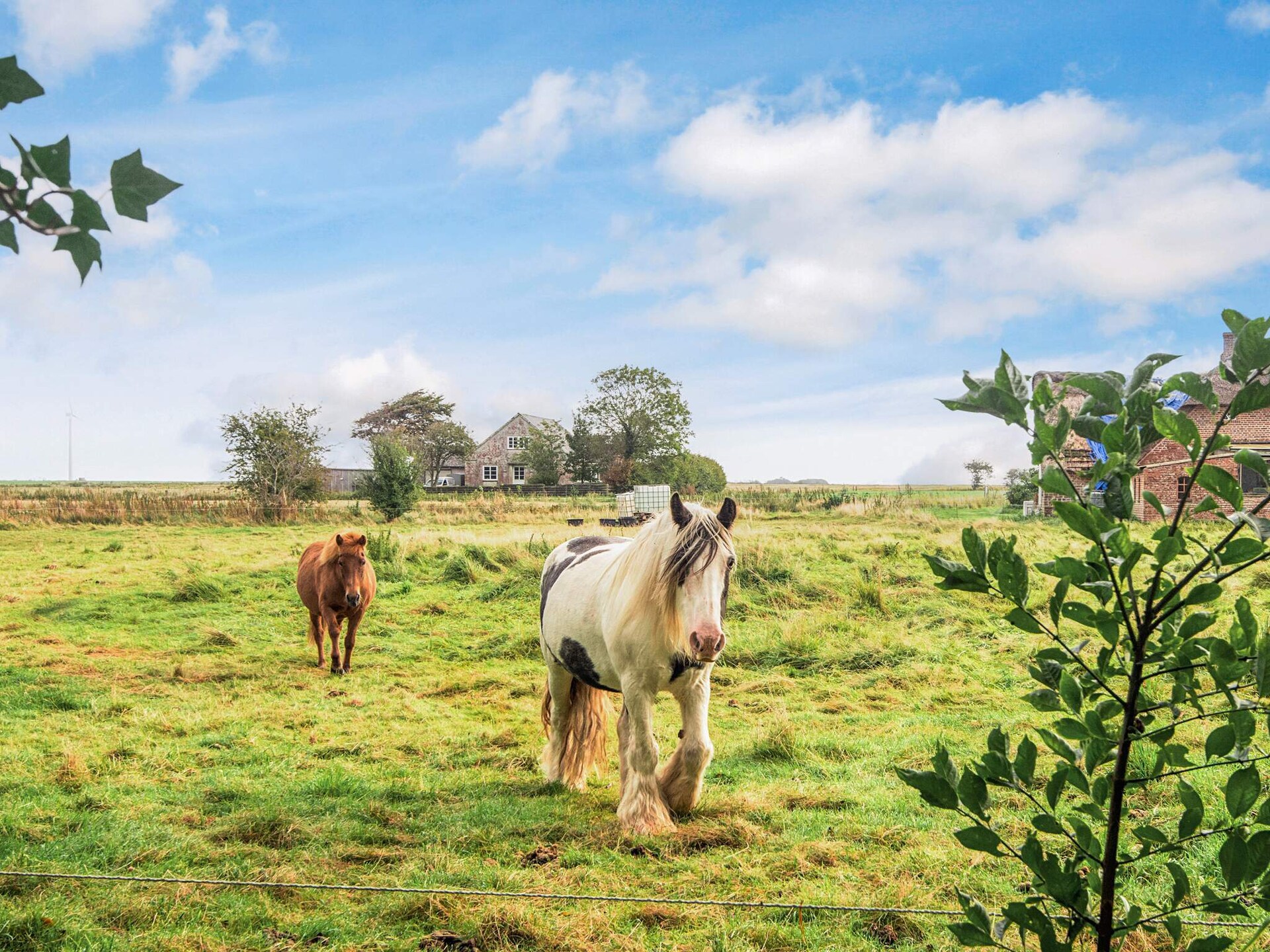 Sfeervol rietgedekt vakantiehuisje nabij het Waddengebied in Tønder - foto 30