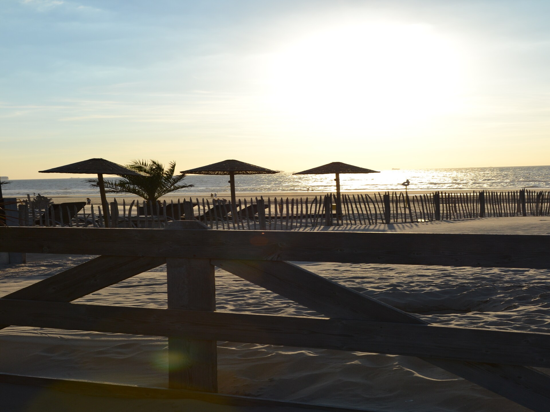 Safaritent aan Zee bij Strandpark Vlugtenburg in 's-Gravenzande - foto 8