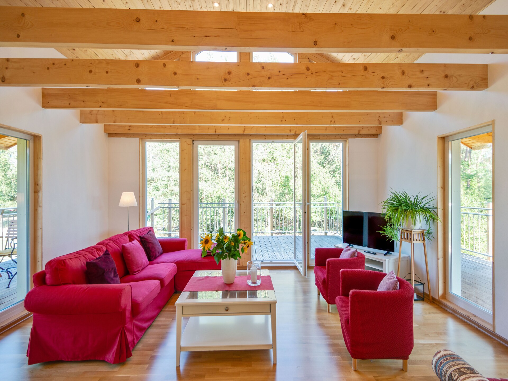 Paalwoning aan de Aller – 4-persoons vakantiehuis met tuin in Winsen - foto 2