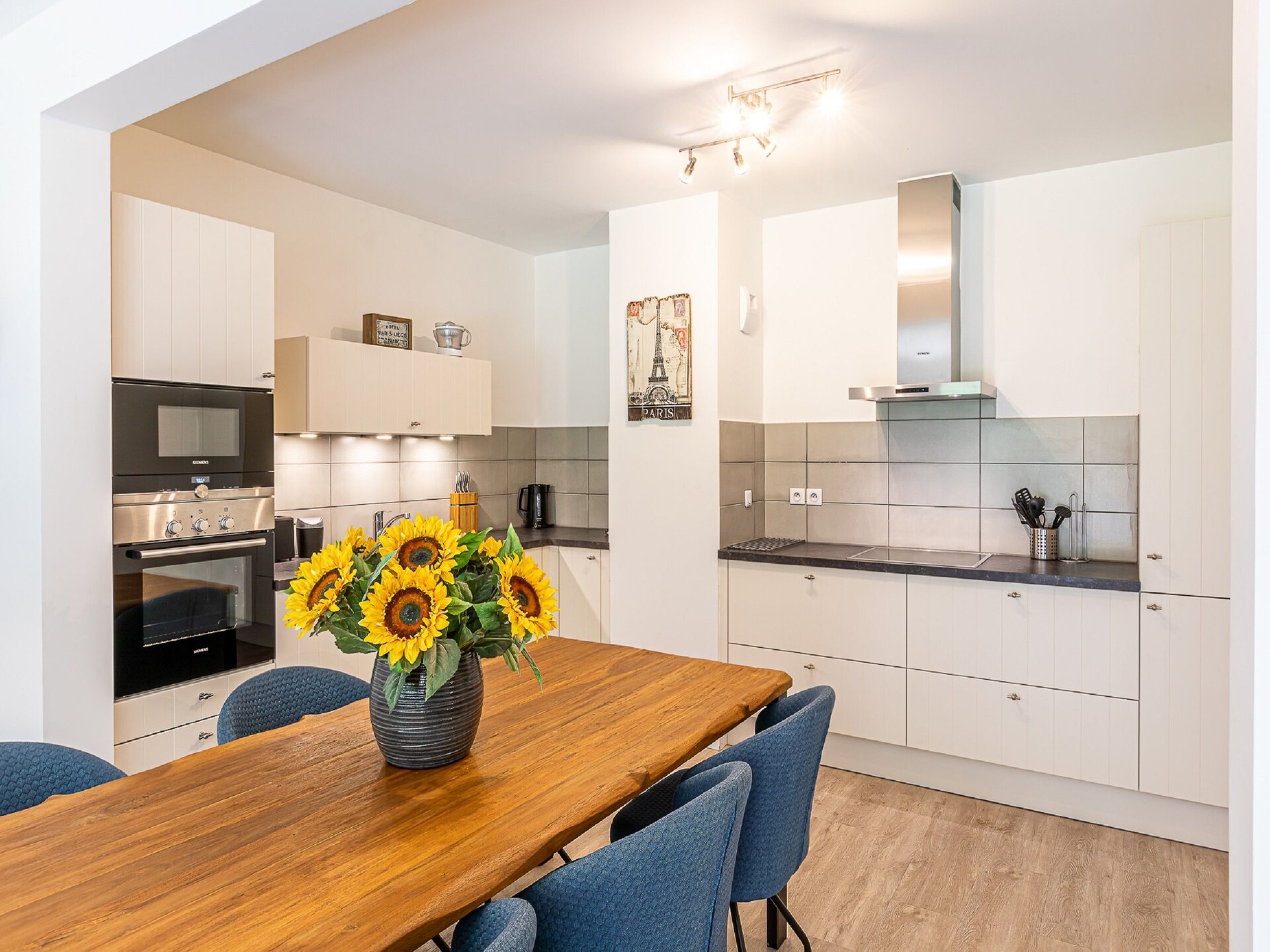 Ruim Alpenappartement in Abondance, 100m van de piste - foto 4
