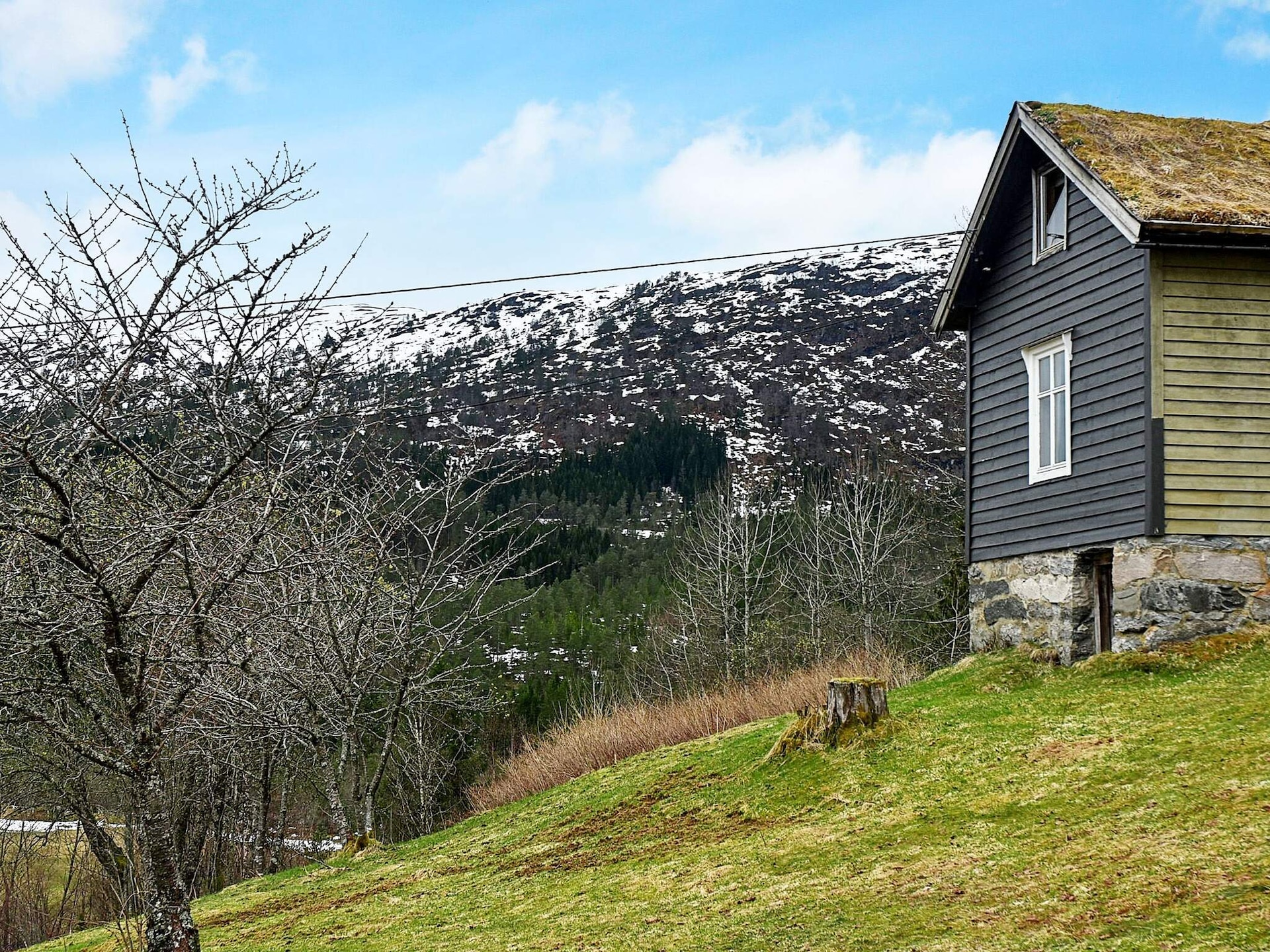 Sfeervol vrijstaand vakantiehuis nabij Jølstravannet, ideaal voor vissers en natuurliefhebbers - foto 6