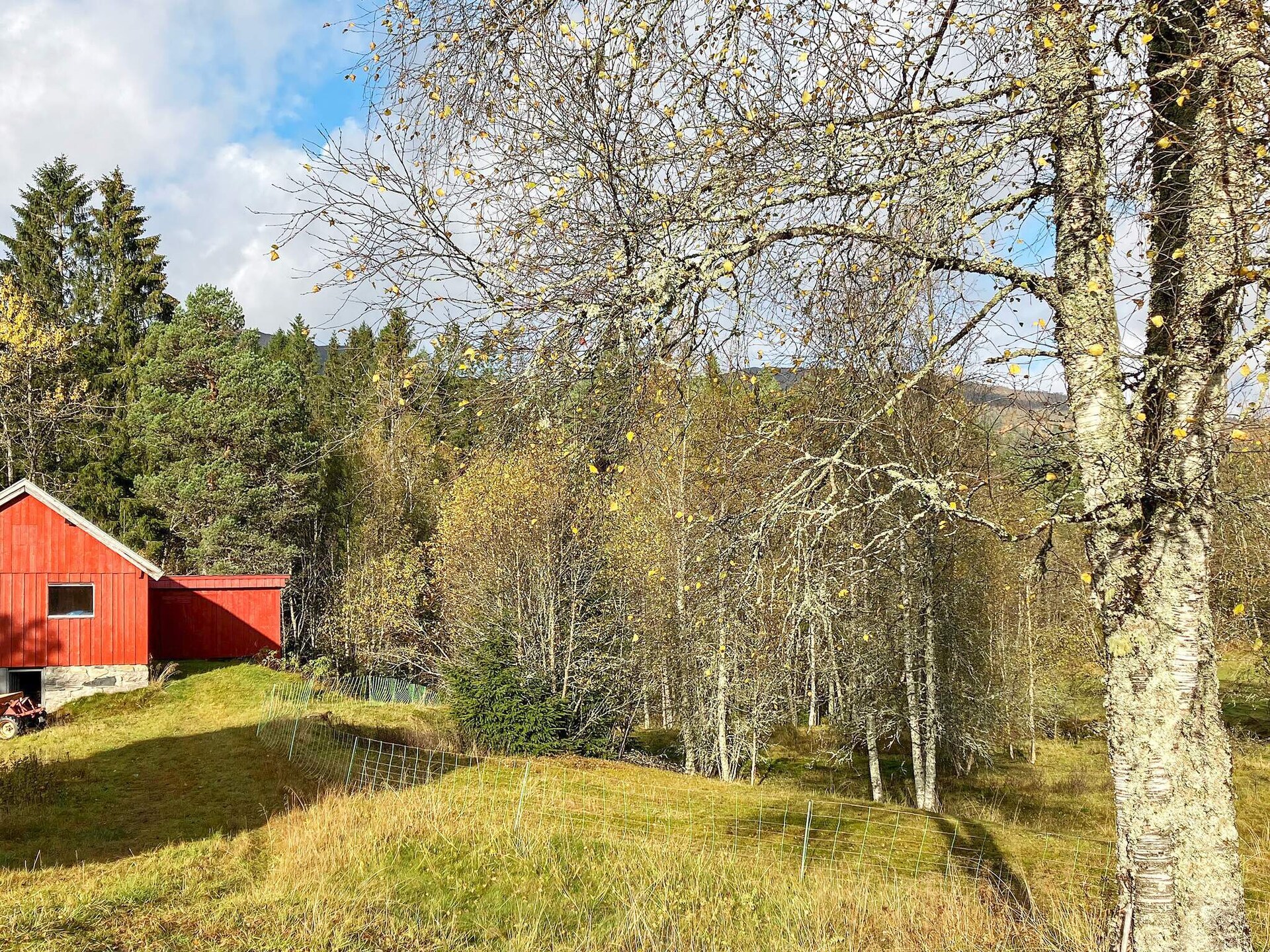 Sfeervol vrijstaand vakantiehuis nabij Jølstravannet, ideaal voor vissers en natuurliefhebbers - foto 7