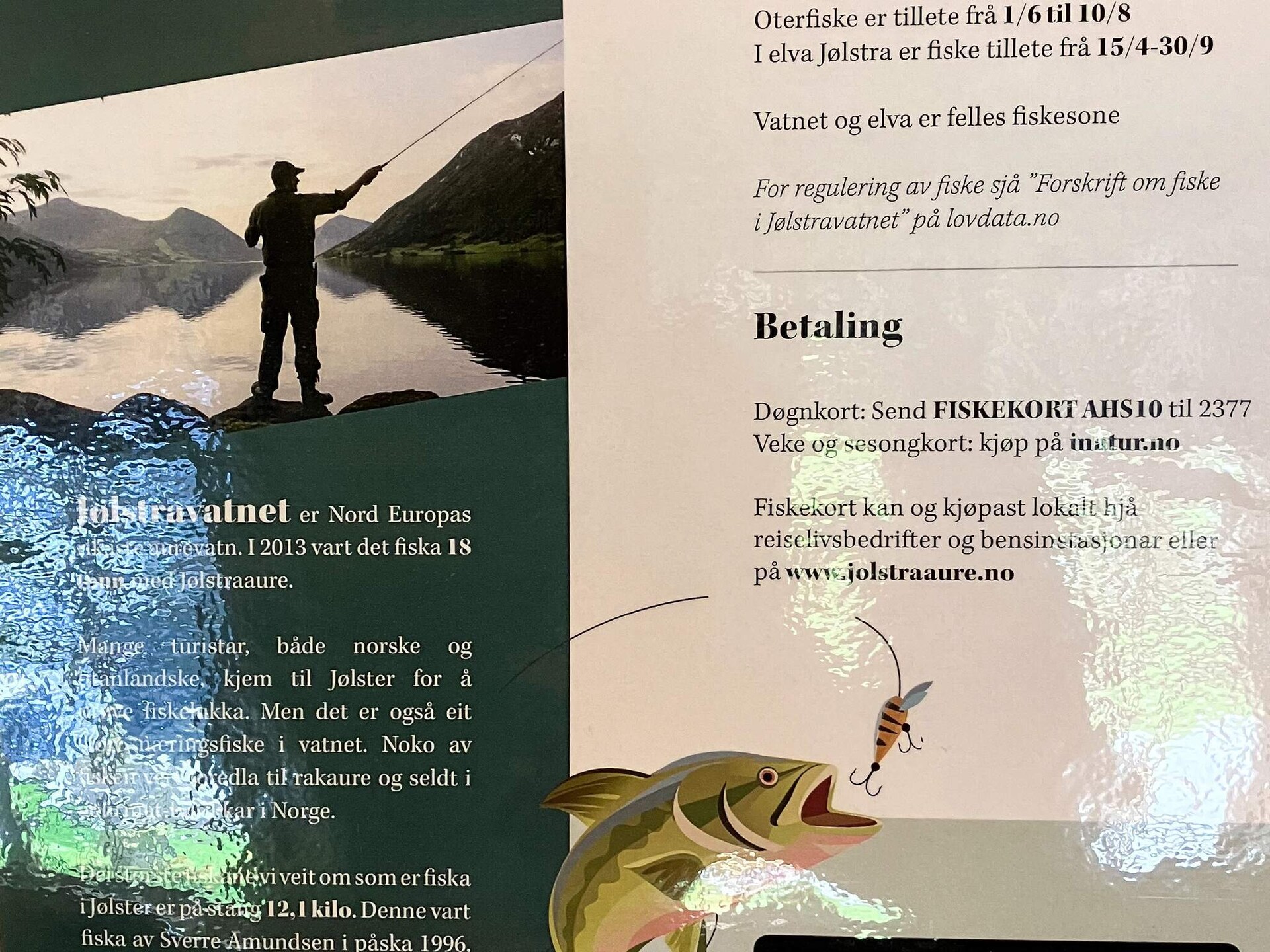Sfeervol vrijstaand vakantiehuis nabij Jølstravannet, ideaal voor vissers en natuurliefhebbers - foto 31