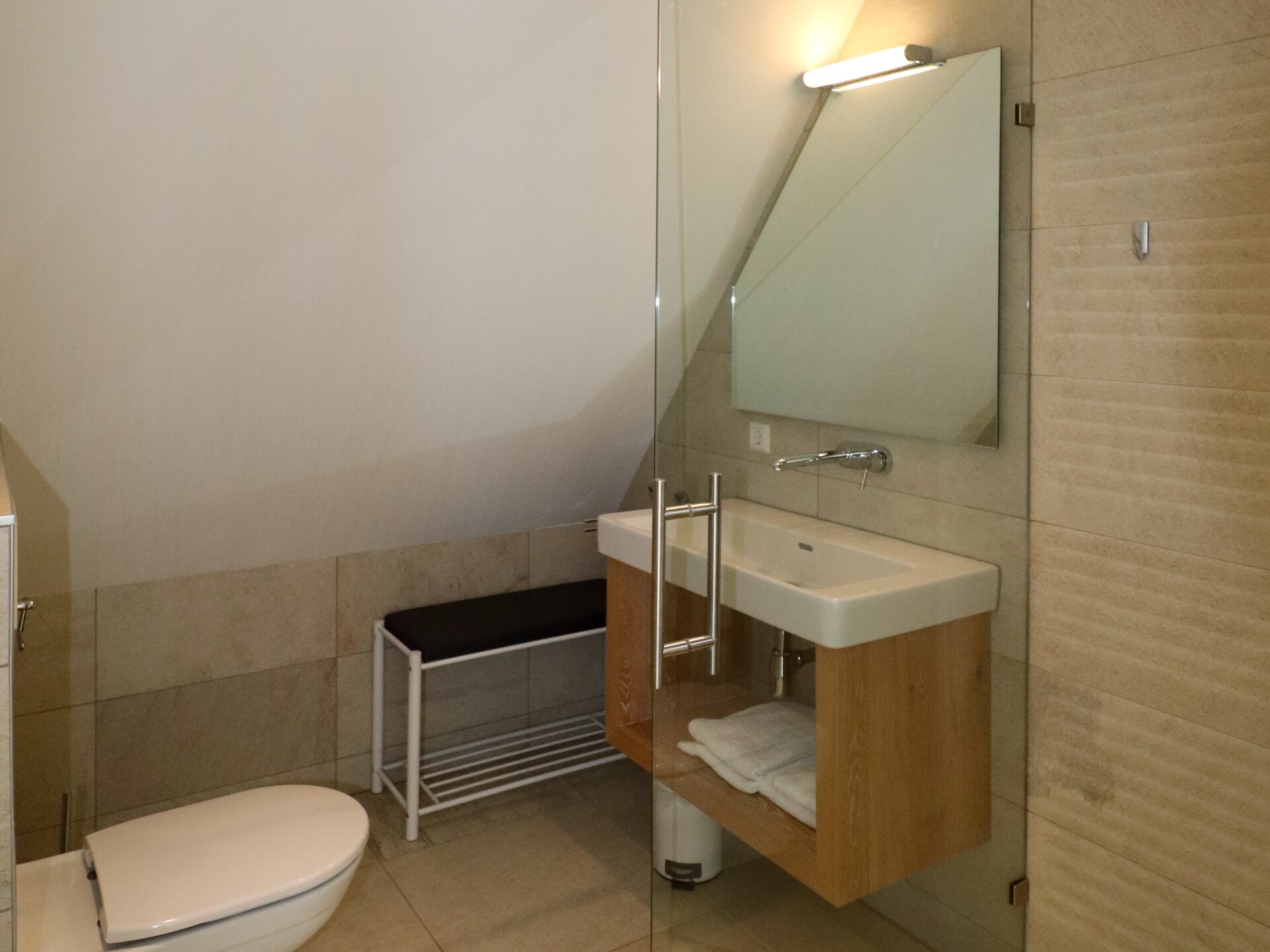 Friese Meren Villa's 12: Luxe wellnessvilla met sauna aan Tjeukemeer - foto 15