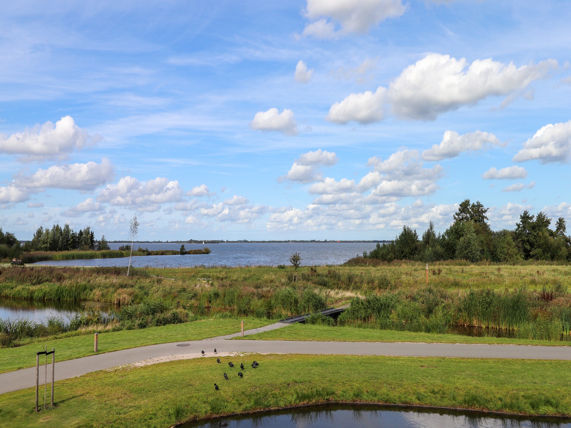 Friese Meren Villa's 12: Luxe wellnessvilla met sauna aan Tjeukemeer - foto 19
