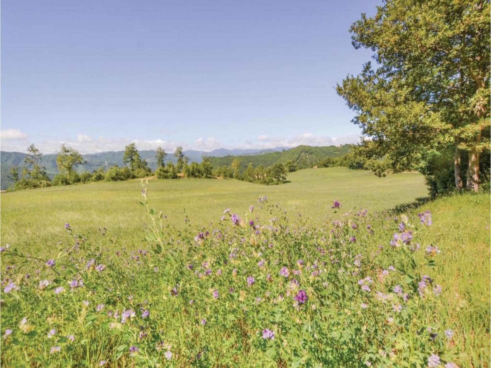 Authentiek appartement Calfattore La Duchessa in Belforte all'Isauro - foto 24