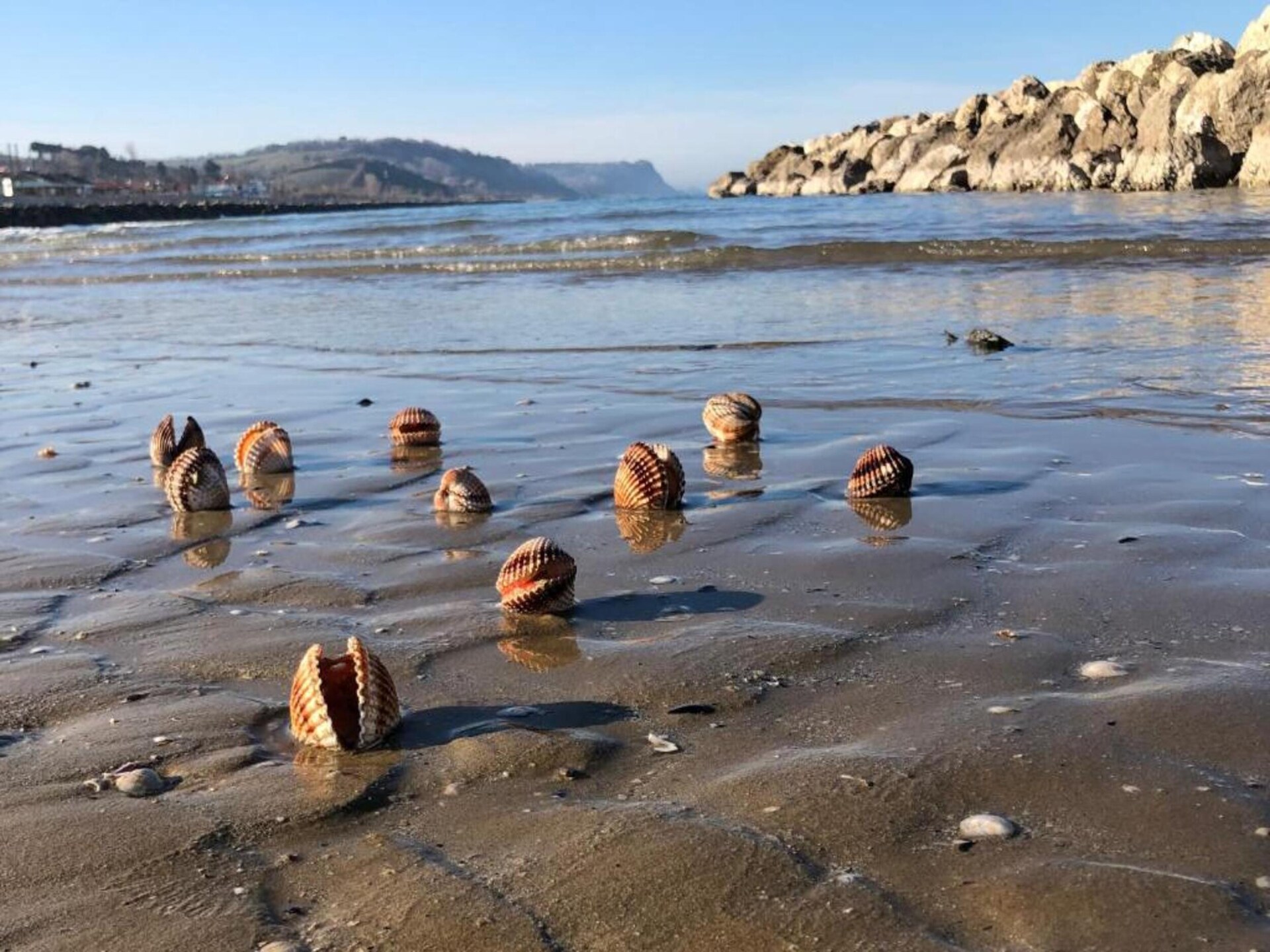 Villa Vanessa Coccinella: Rustig vakantiehuis in Fano - foto 32