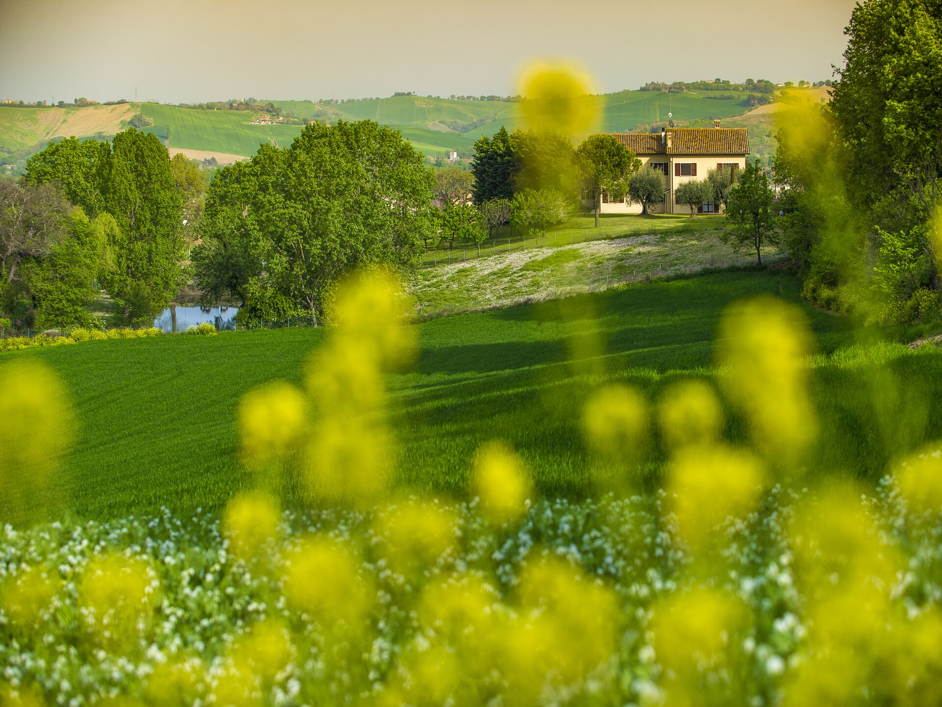 Authentiek vakantiehuis op het platteland van Le Marche met gedeeld zwembad - foto 15