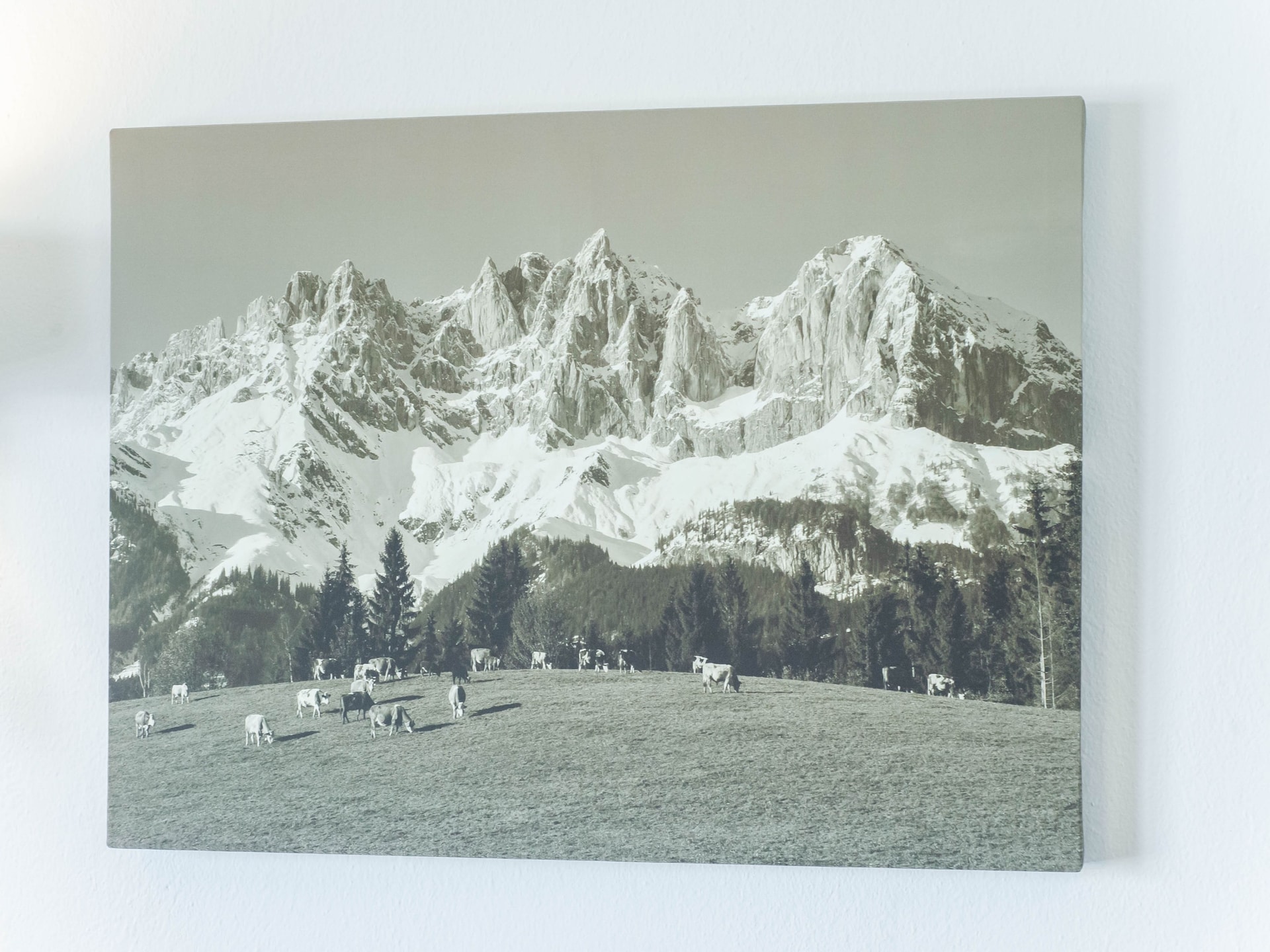 Op 400 m van de piste: Ruim appartement in Kirchberg in Tirol - foto 30