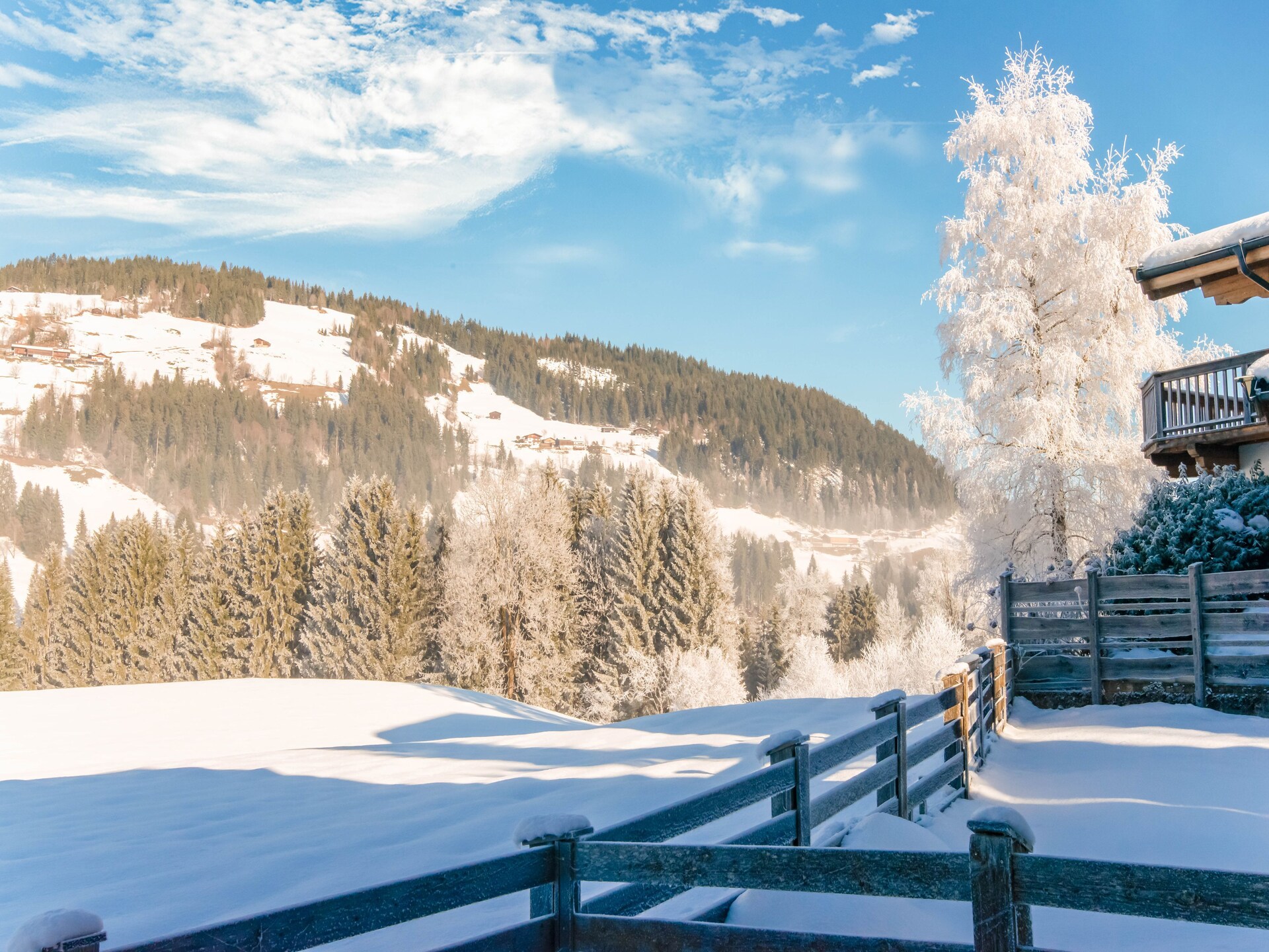 Op 400 m van de piste: Ruim appartement in Kirchberg in Tirol - foto 26