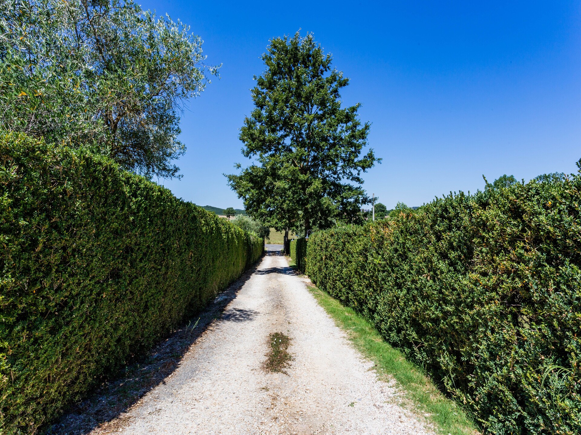 Knus appartement op Toscaans landgoed bij Casole d'Elsa met zwembad - foto 13