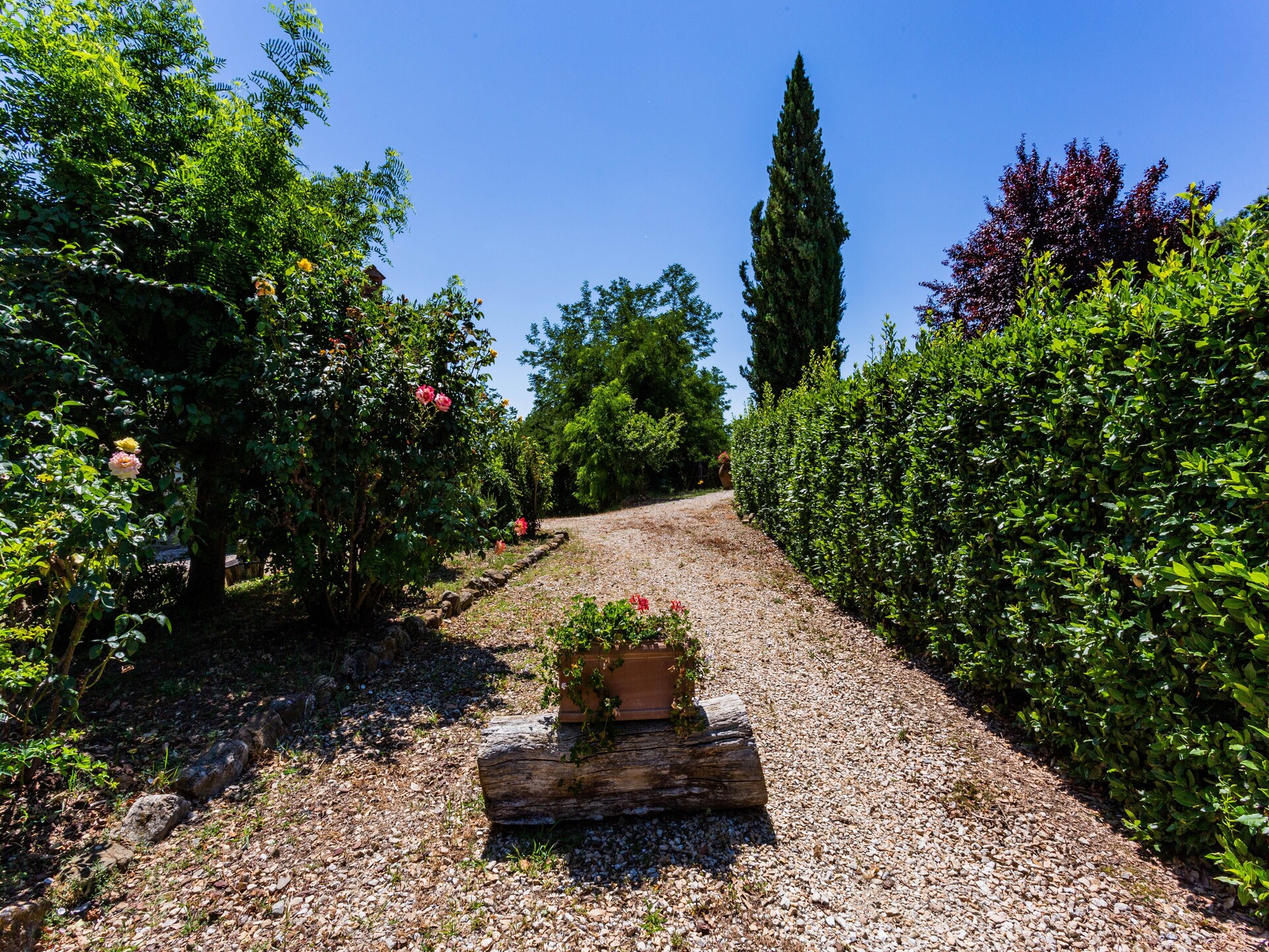 Knus appartement op Toscaans landgoed bij Casole d'Elsa met zwembad - foto 24
