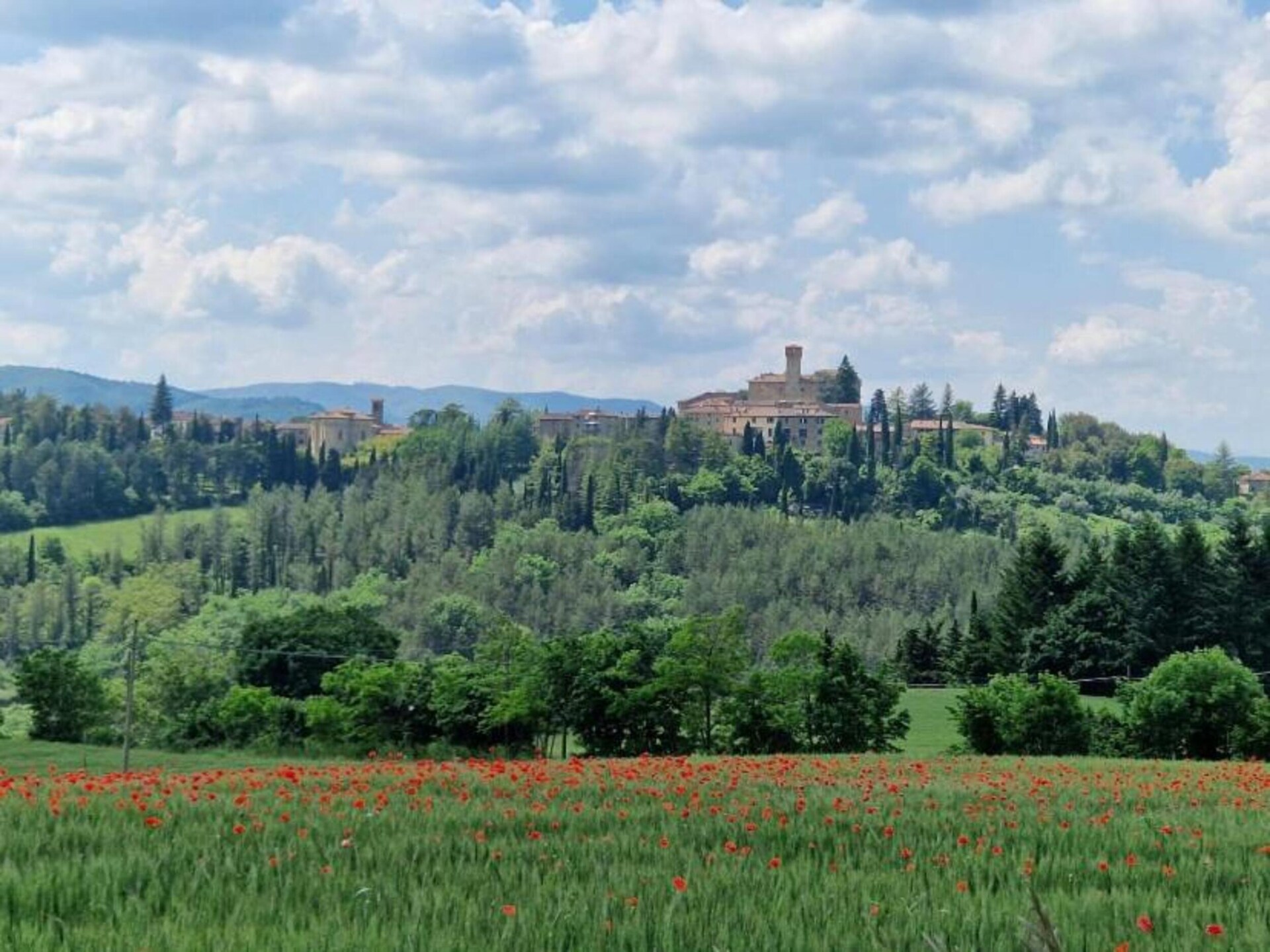 Ruim appartement Belvedere in Città di Castello voor 6 personen - foto 34