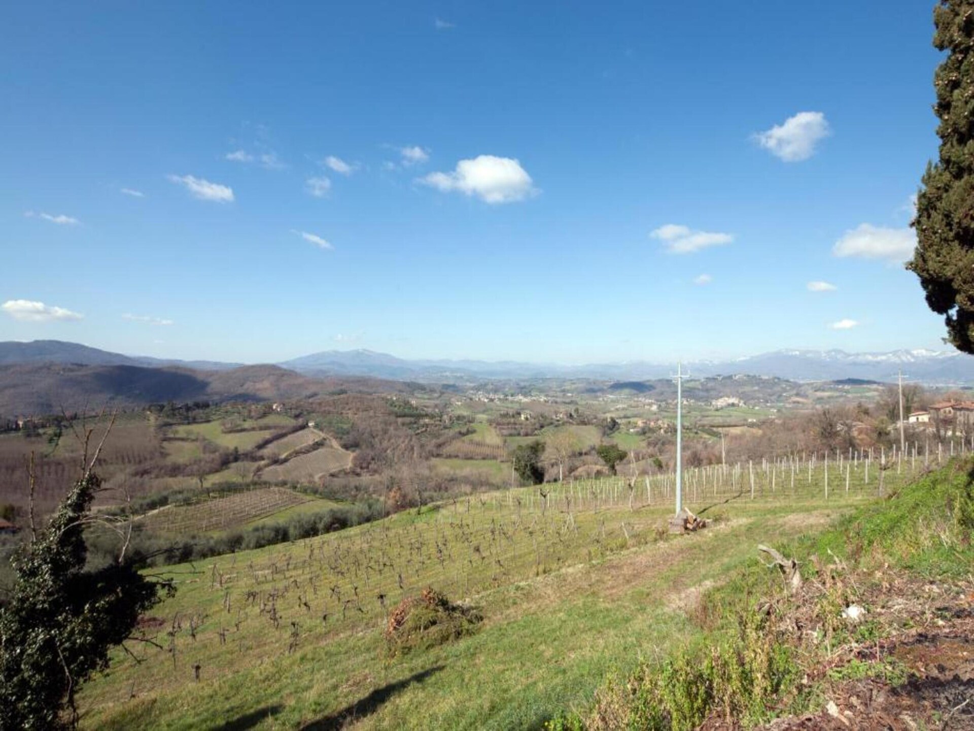 Ruim appartement Belvedere in Città di Castello voor 6 personen - foto 41