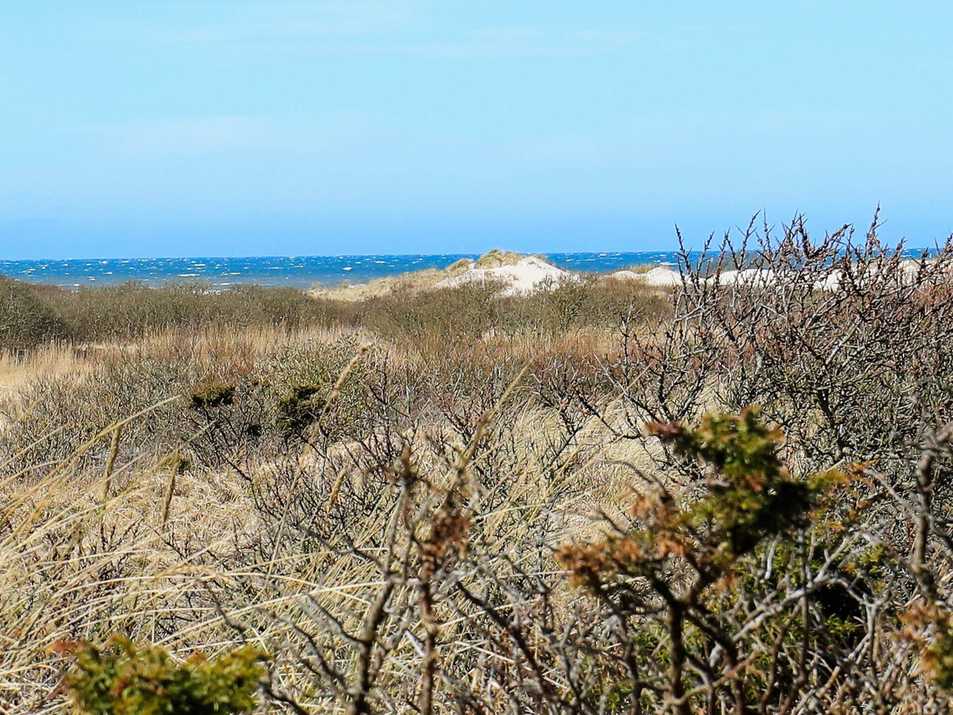 Knus duinhuisje in Bindslev met weids uitzicht op zee - foto 9