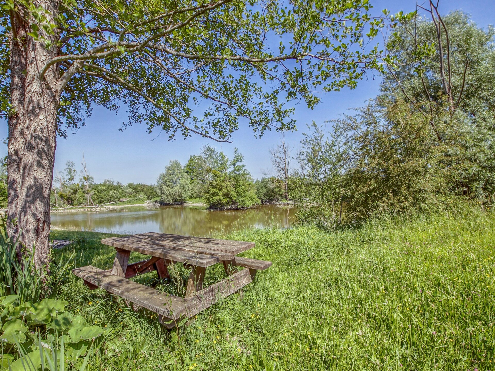 La Maison d'Alban: Authentiek landhuis in het Franse platteland van Challerange - foto 39