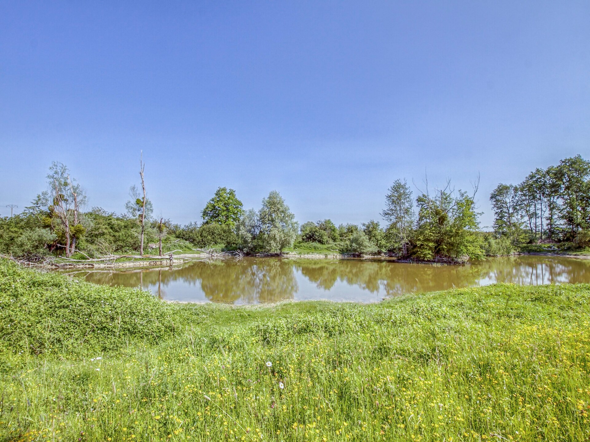 La Maison d'Alban: Authentiek landhuis in het Franse platteland van Challerange - foto 40
