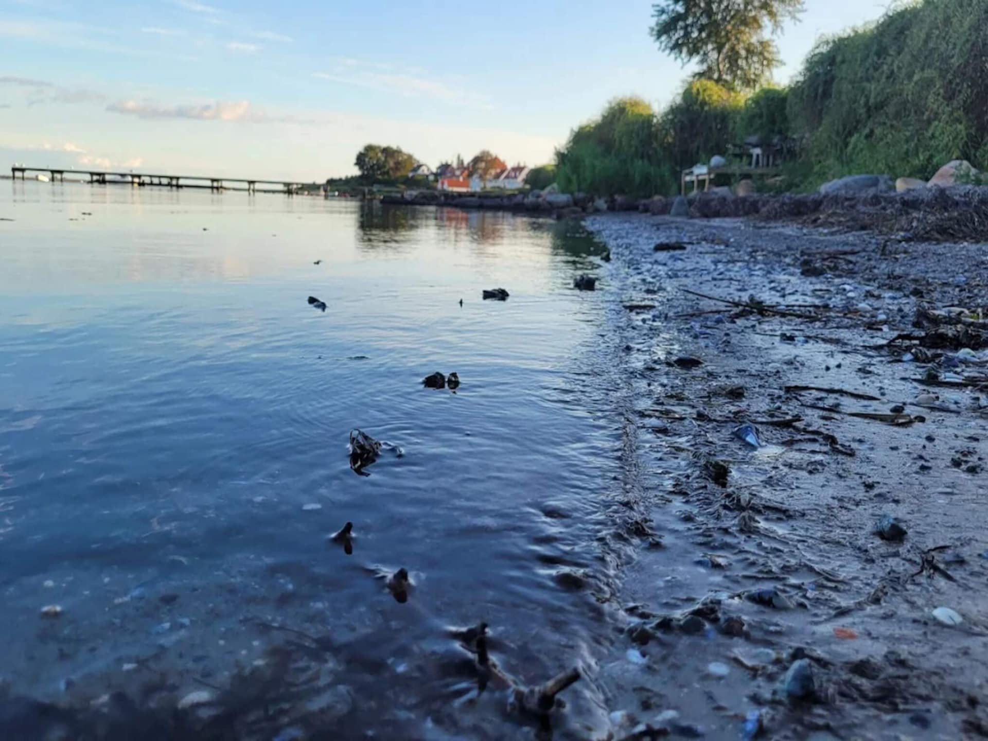 Ruim vakantiehuis met whirlpool en zeezicht op 300m van de kust bij Faaborg - foto 7