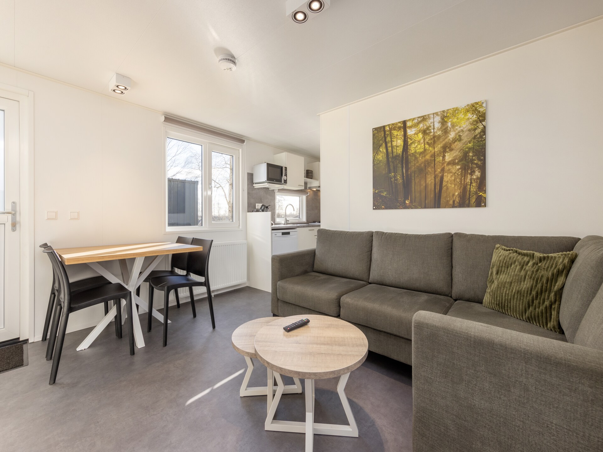 Hunzepark 12: Gezellig chalet in rustig Drents natuurgebied - foto 3