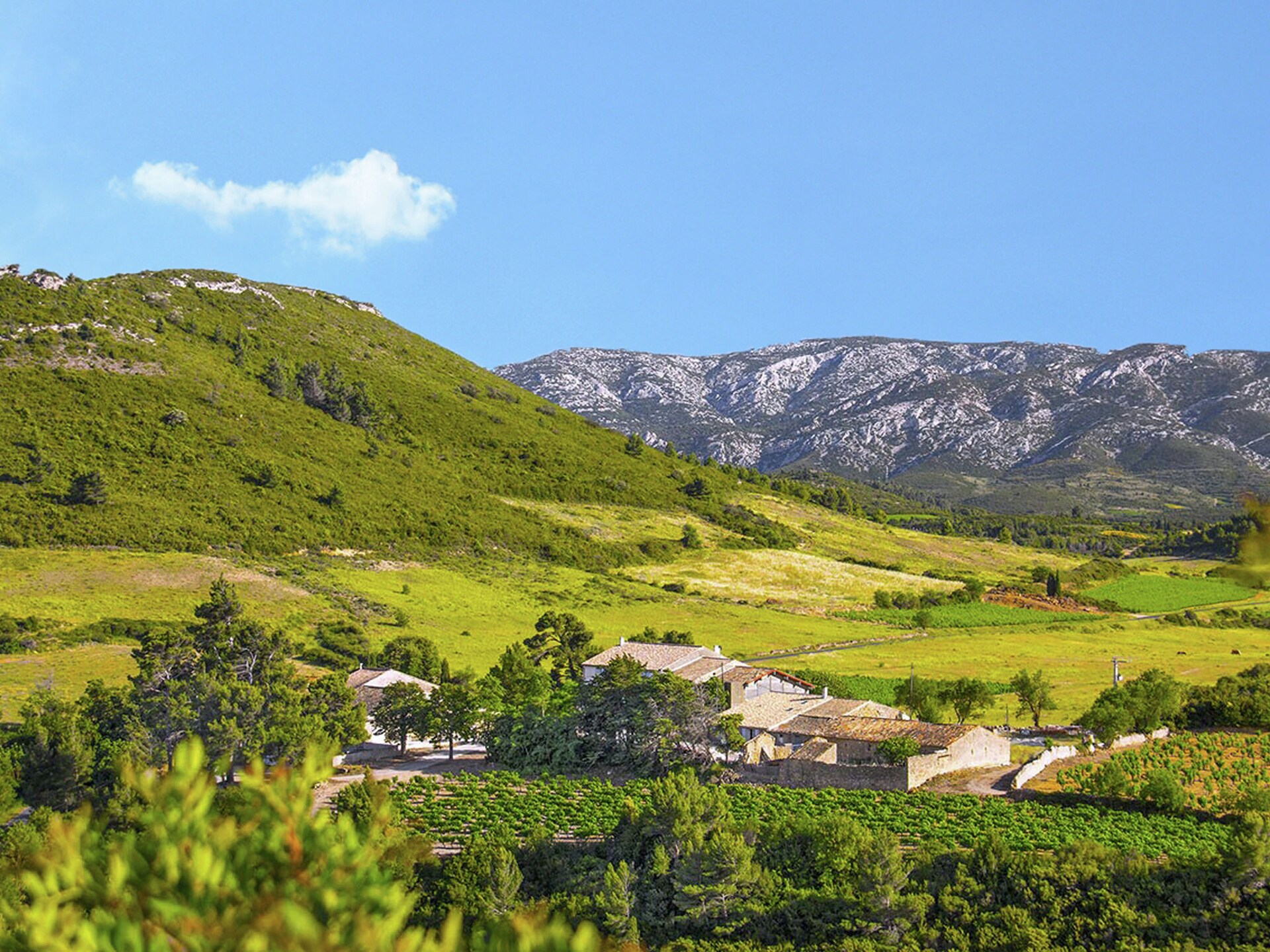 Luxe gîte tussen de wijnvelden in Aude, zwembad en airconditioning - foto 24