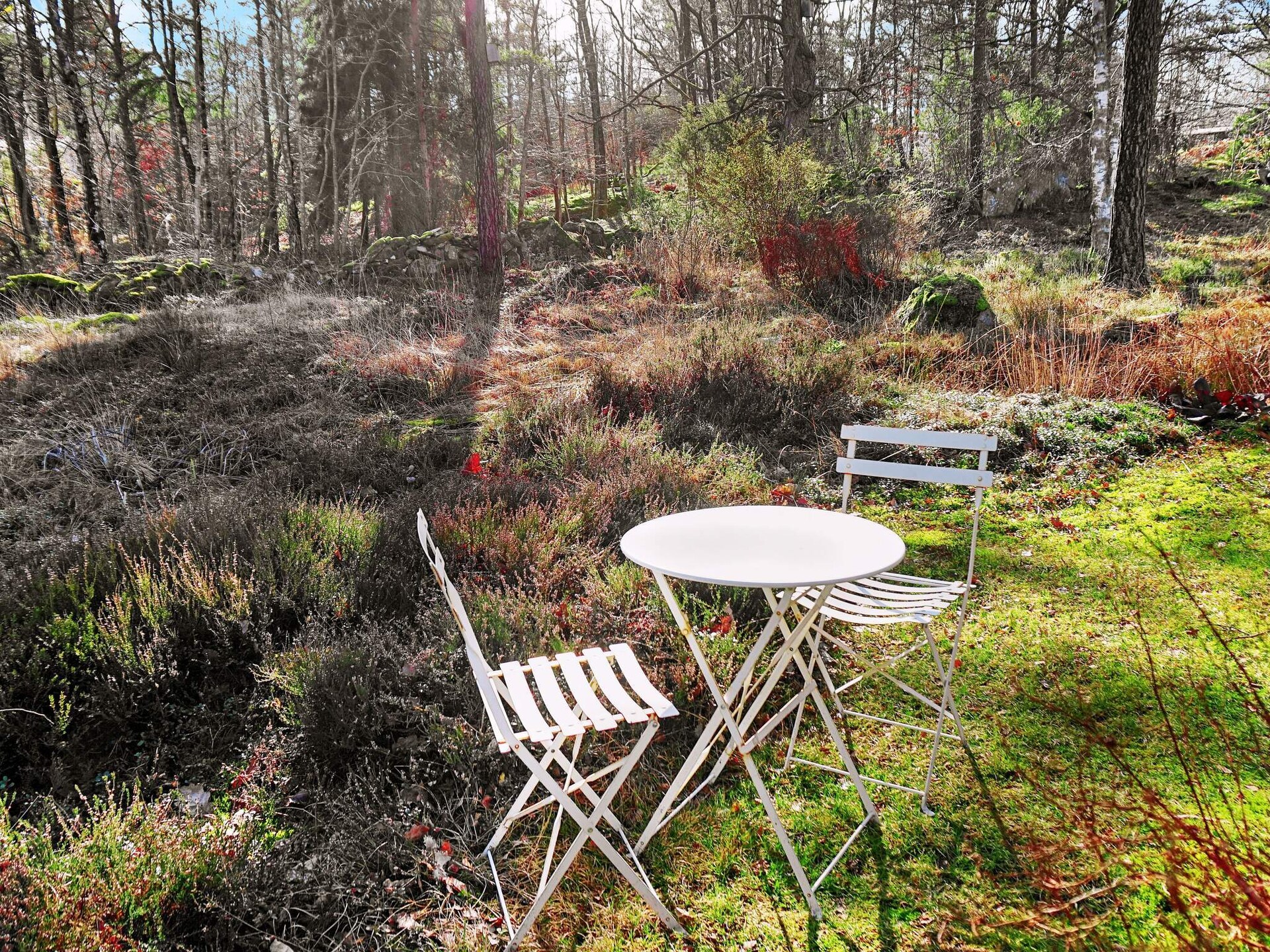 Charmante stuga op Flatön – zee, rust en natuur op 300 meter - foto 4
