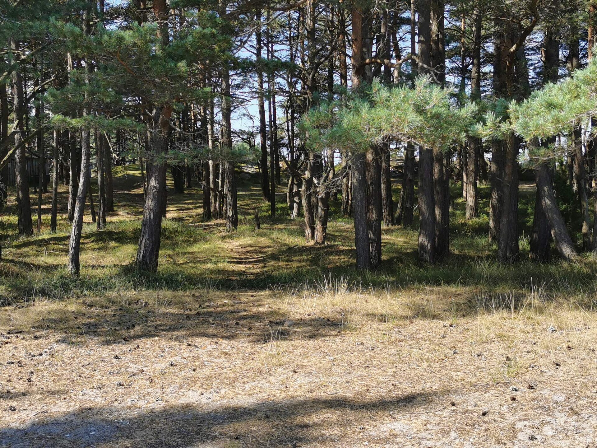 Charmante stuga op Flatön – zee, rust en natuur op 300 meter - foto 5