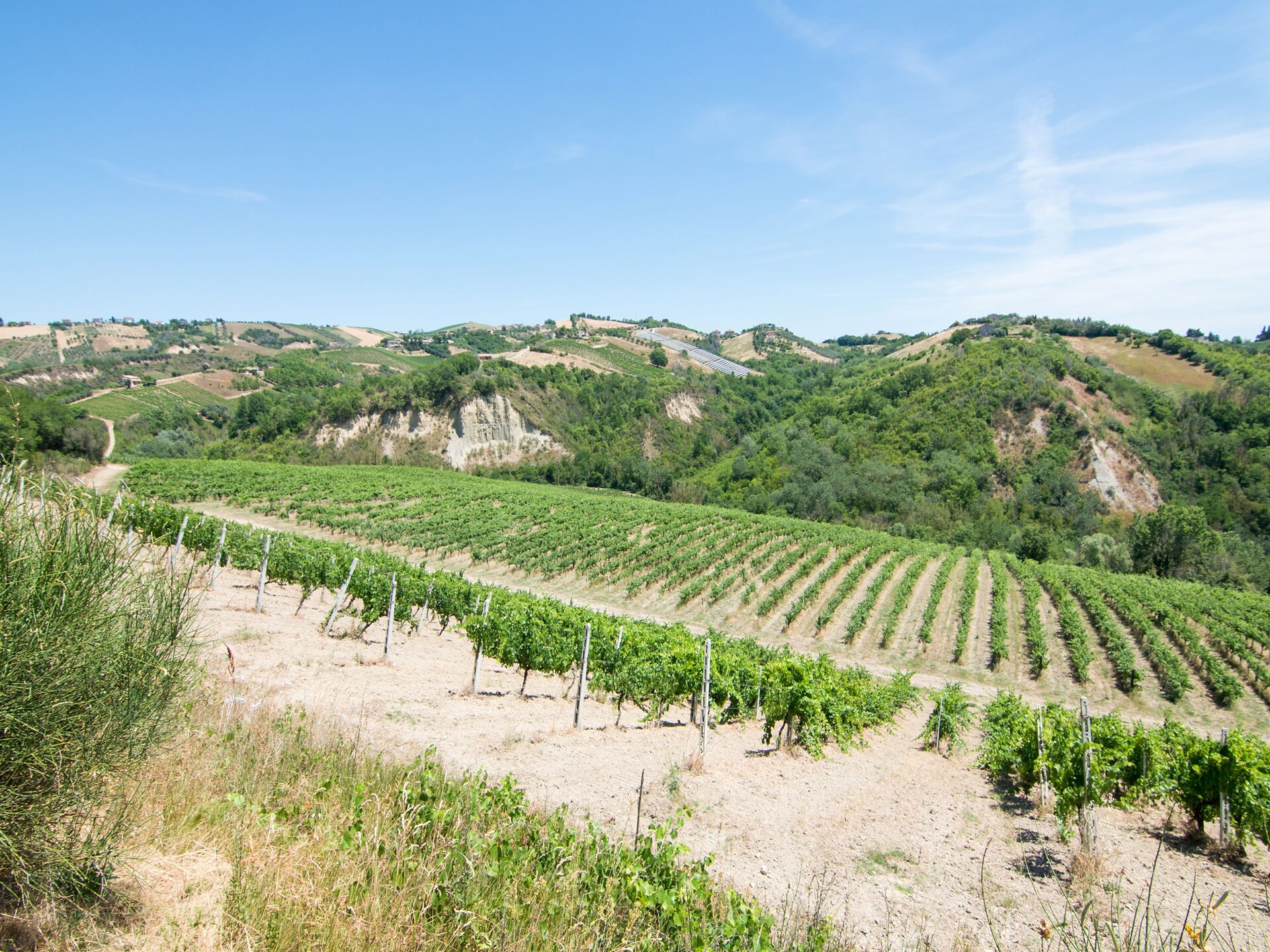 Sfeervol appartement Gardenia in Ascoli Piceno met bubbelbad - foto 36
