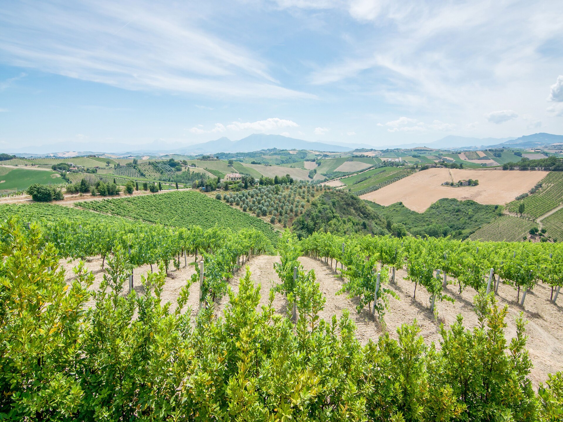 Sfeervol appartement Gardenia in Ascoli Piceno met bubbelbad - foto 31