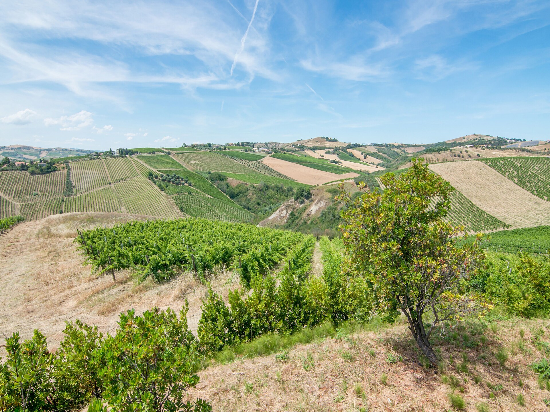 Sfeervol appartement Gardenia in Ascoli Piceno met bubbelbad - foto 32