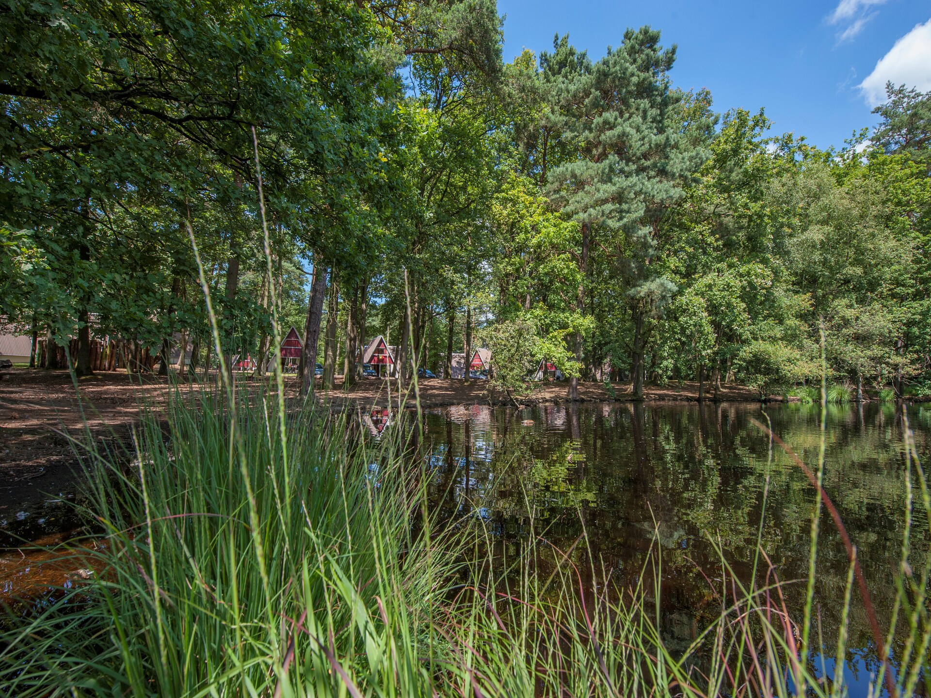 Wellness chalet met sauna op rustig vakantiepark in Mierlo - foto 15
