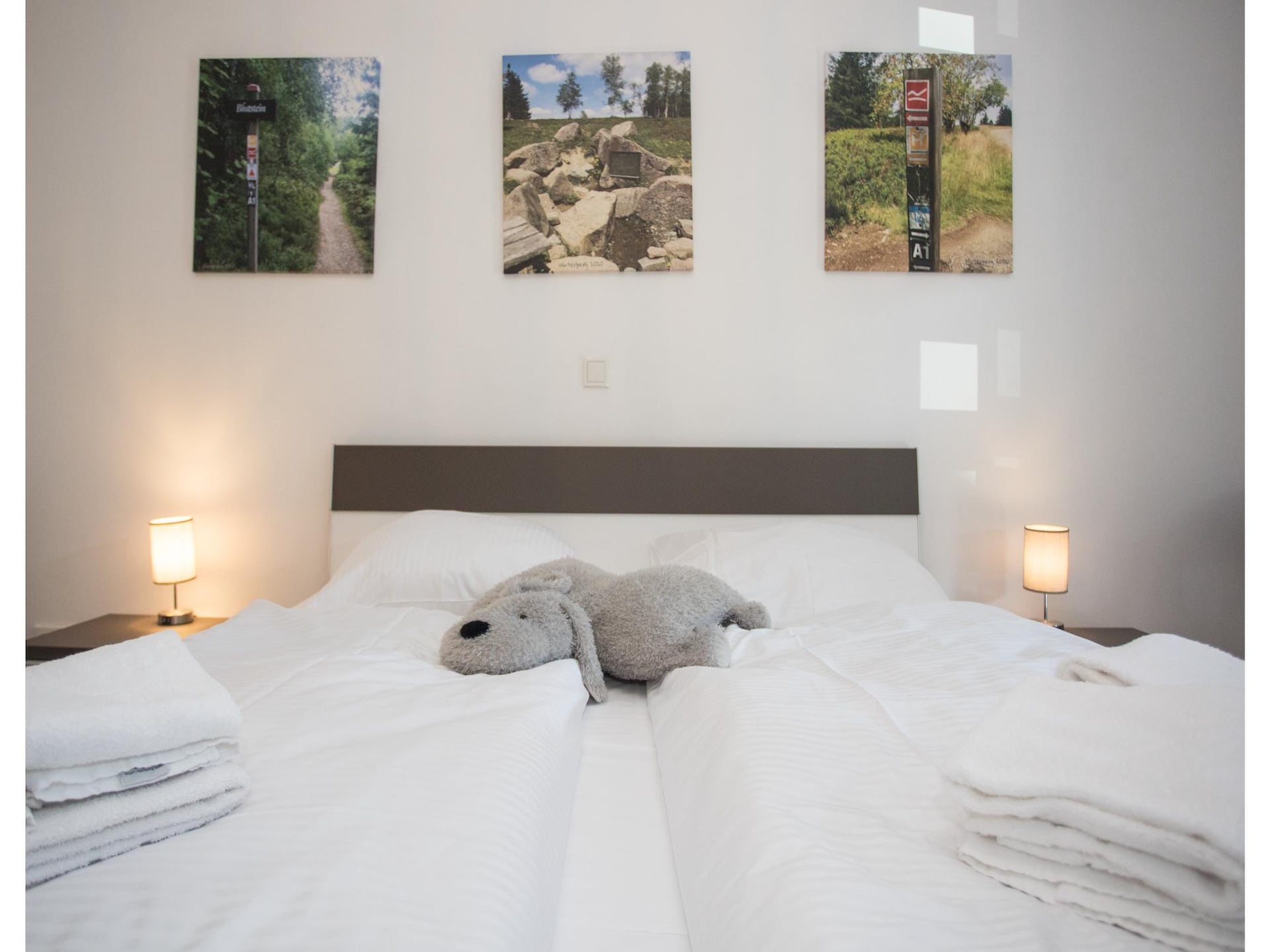 Centraal gelegen appartement in Winterberg voor 4 personen - foto 13
