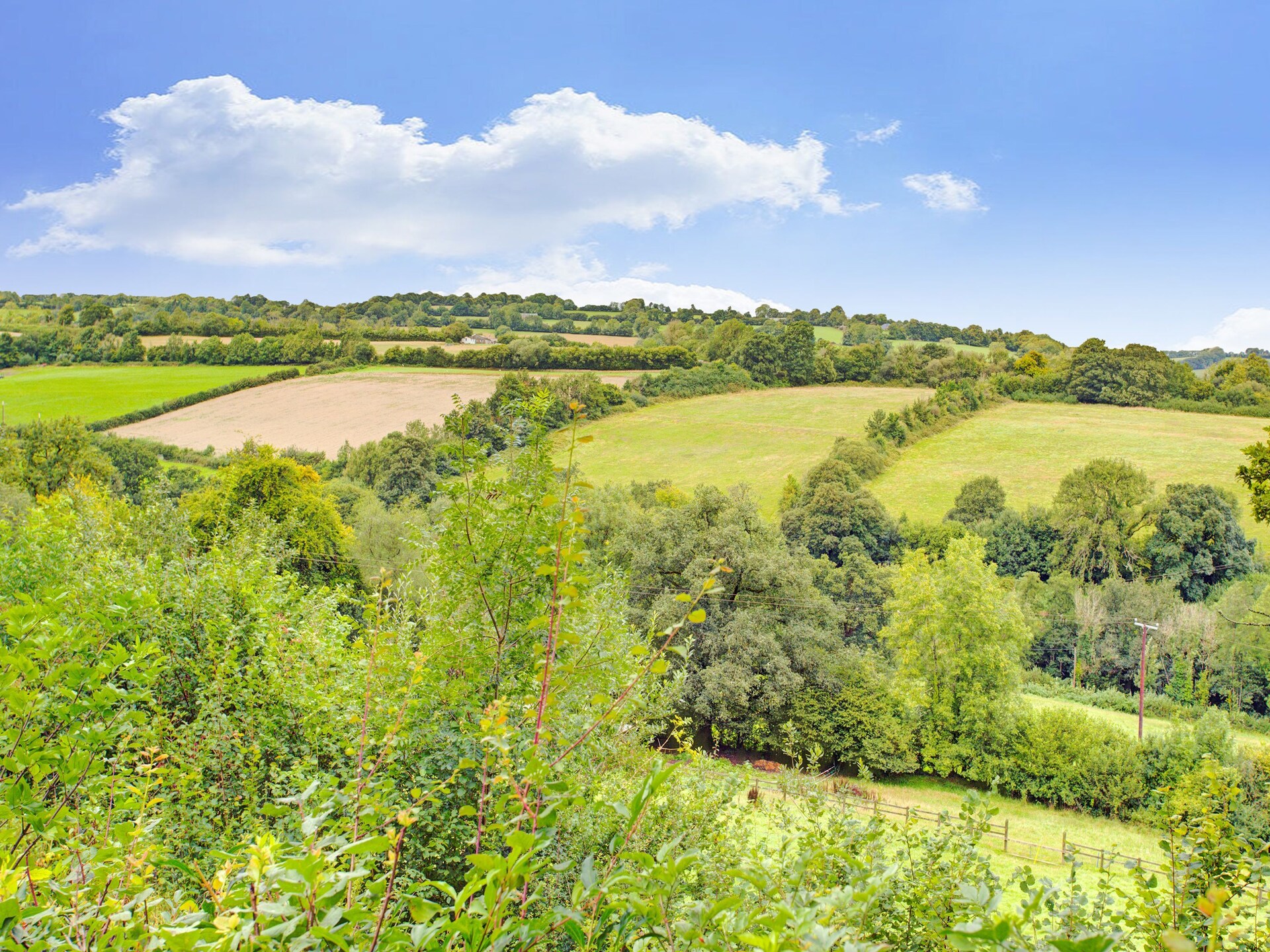 Romantische herdershut aan de rand van Exmoor National Park - foto 30
