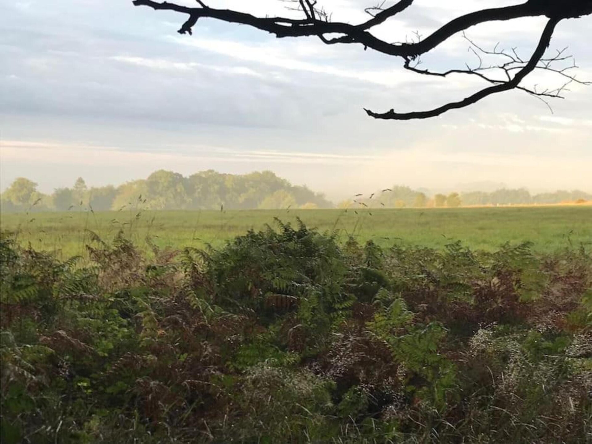Romantische herdershut aan de rand van Exmoor National Park - foto 35