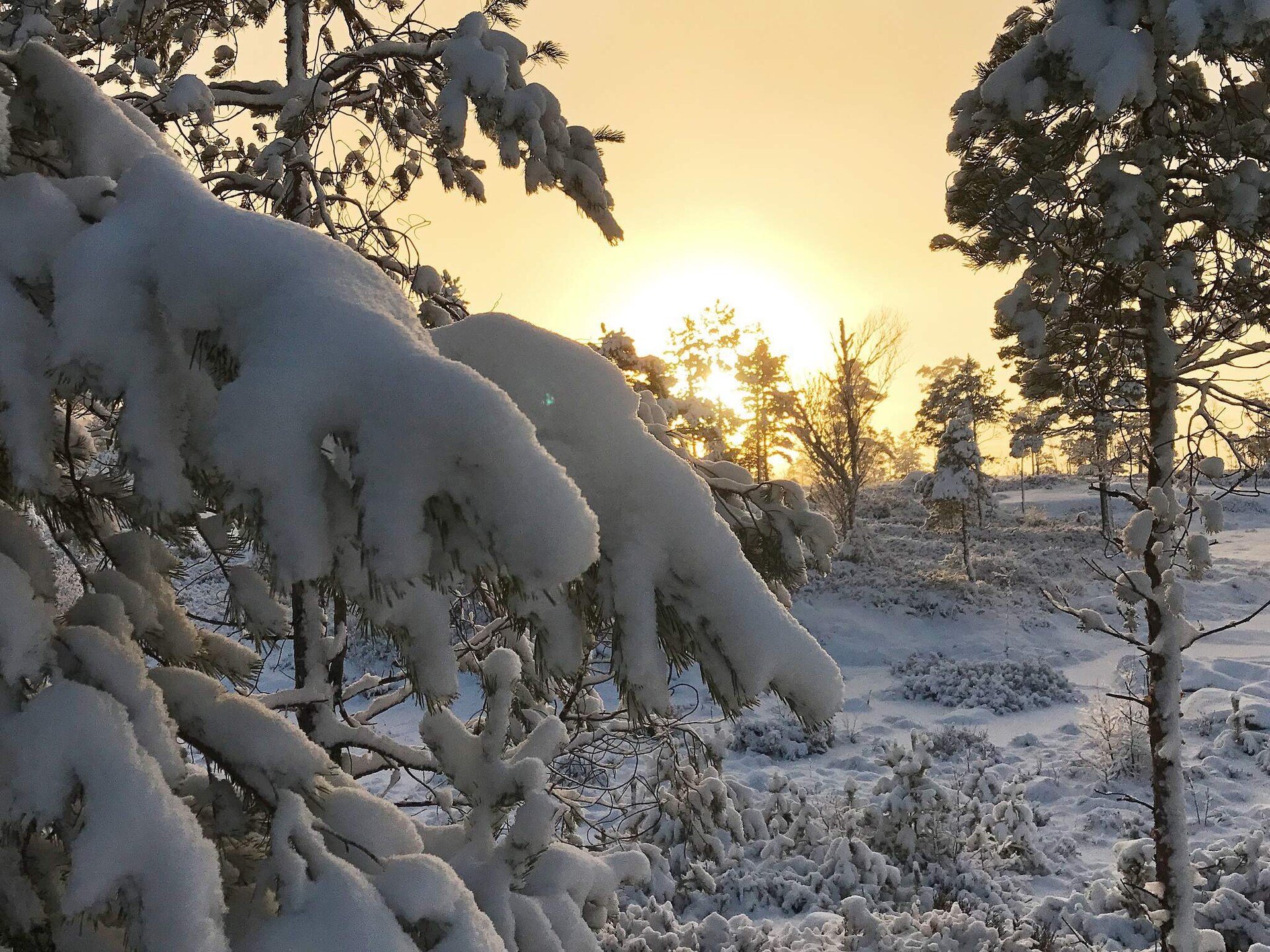 Panoramisch vakantiehuis voor 15 personen met sauna, direct aan de skipiste bij Treungen - foto 9