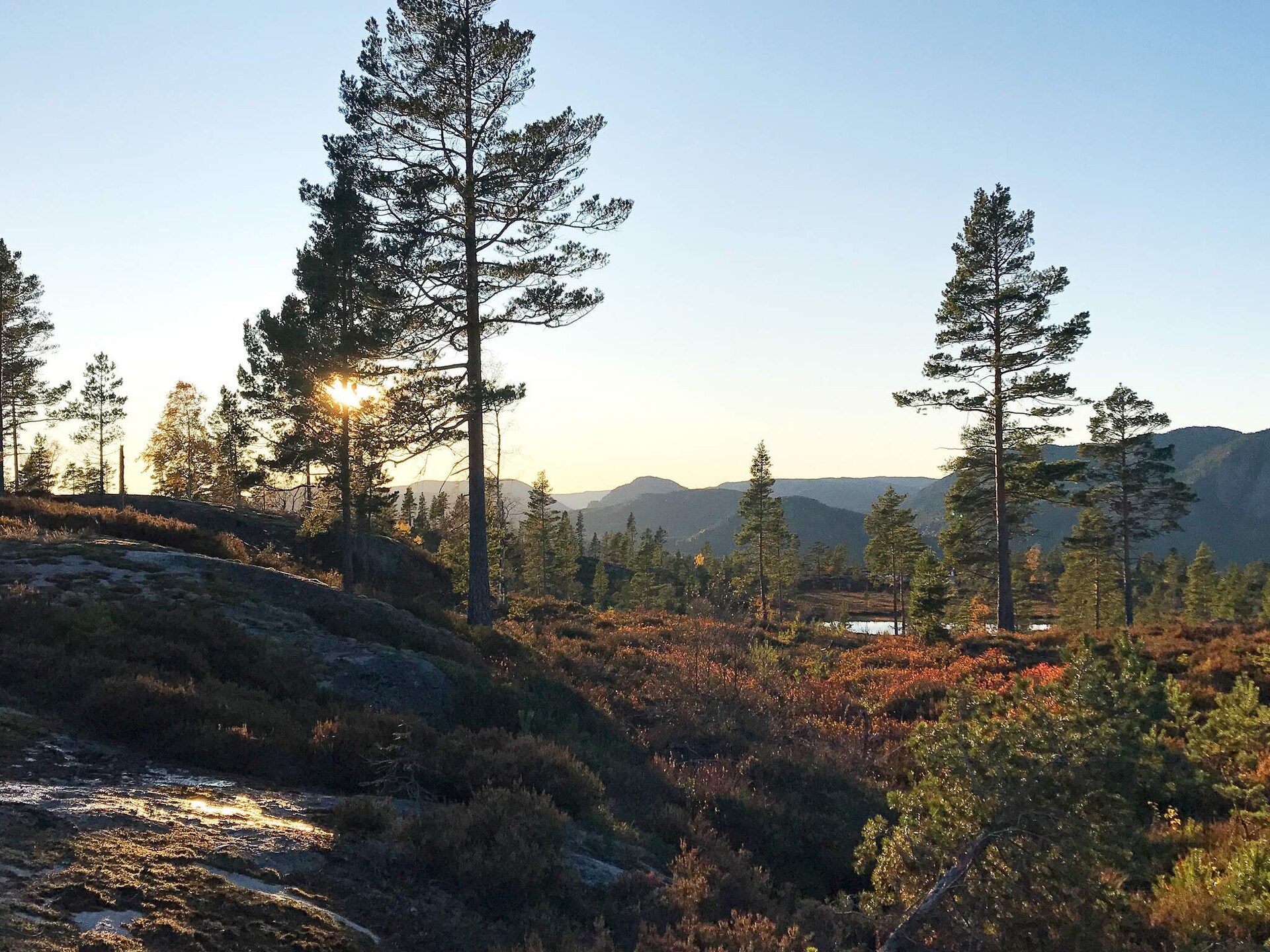 Panoramisch vakantiehuis voor 15 personen met sauna, direct aan de skipiste bij Treungen - foto 4