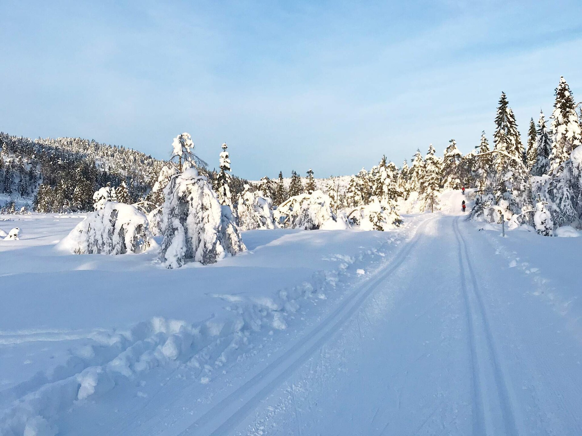 Panoramisch vakantiehuis voor 15 personen met sauna, direct aan de skipiste bij Treungen - foto 7