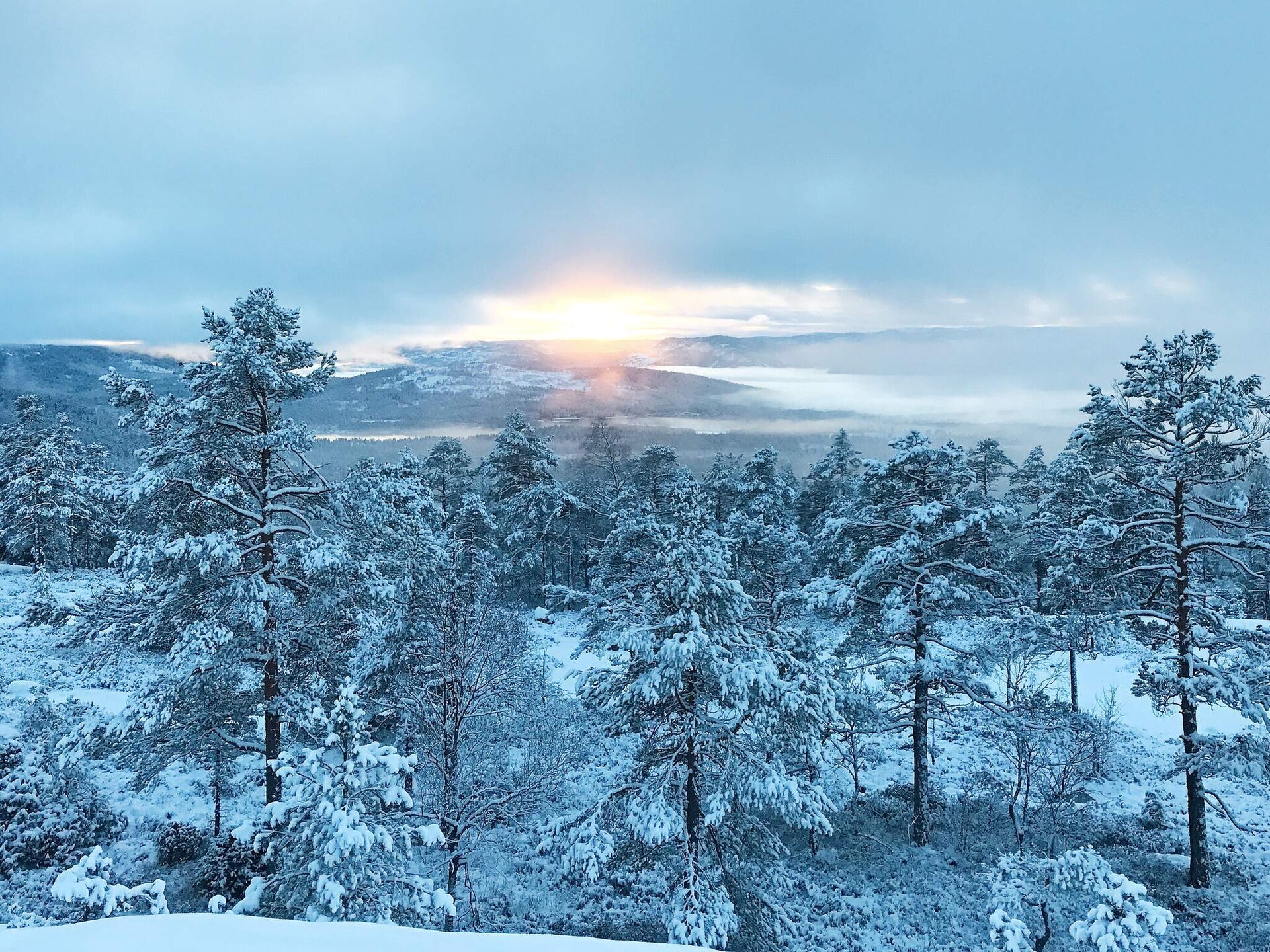 Panoramisch vakantiehuis voor 15 personen met sauna, direct aan de skipiste bij Treungen - foto 14