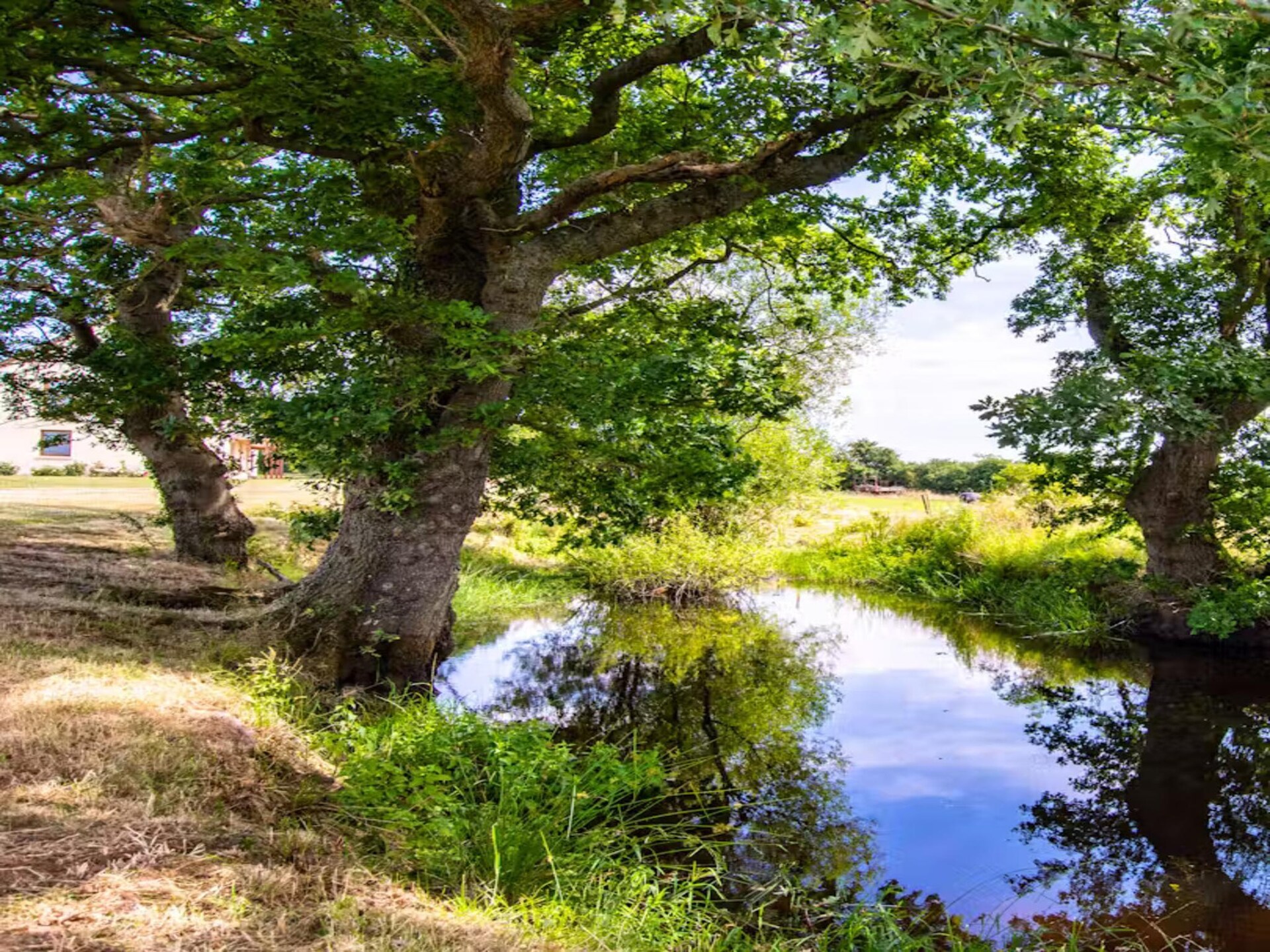 Afgelegen landgoed met zwembad en uitzicht op Raglan Castle voor 24 personen - foto 32