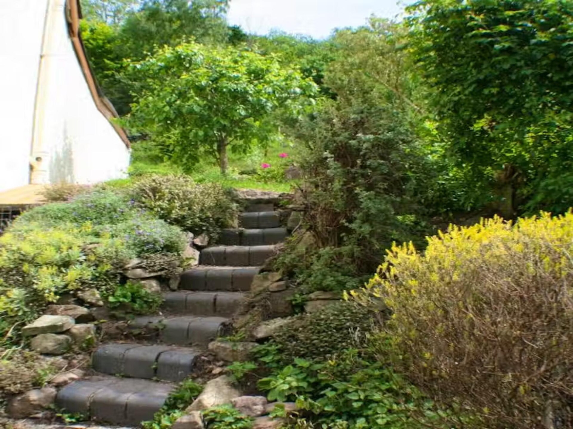 Historisch vakantiehuis The Anchor voor 22 personen in het Forest of Dean - foto 33