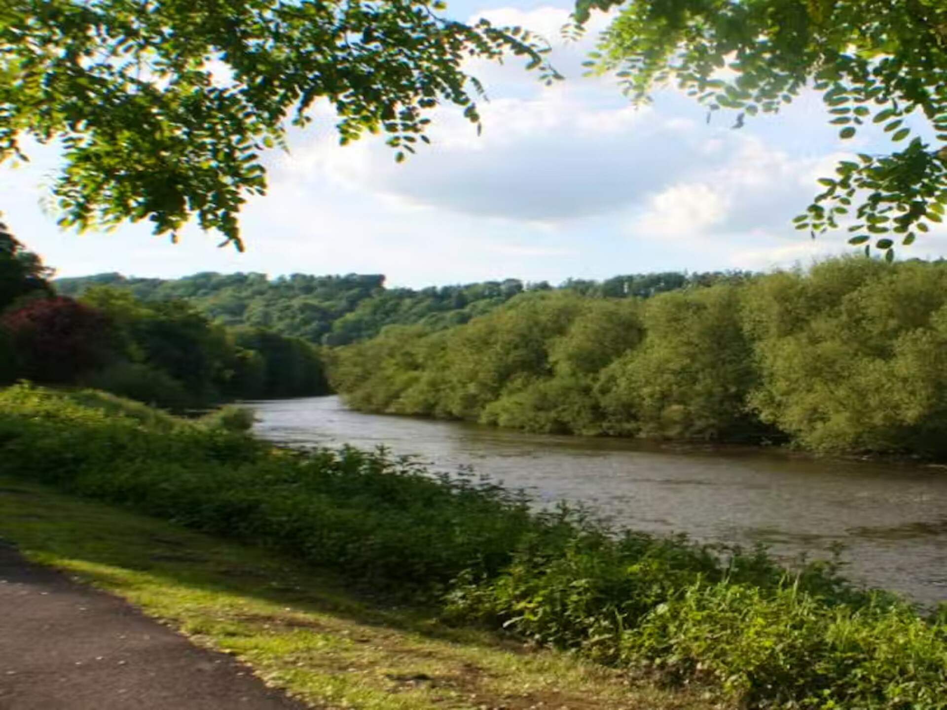River Wye Lodge: Ruim vakantiehuis voor 26 personen in Lydbrook - foto 35