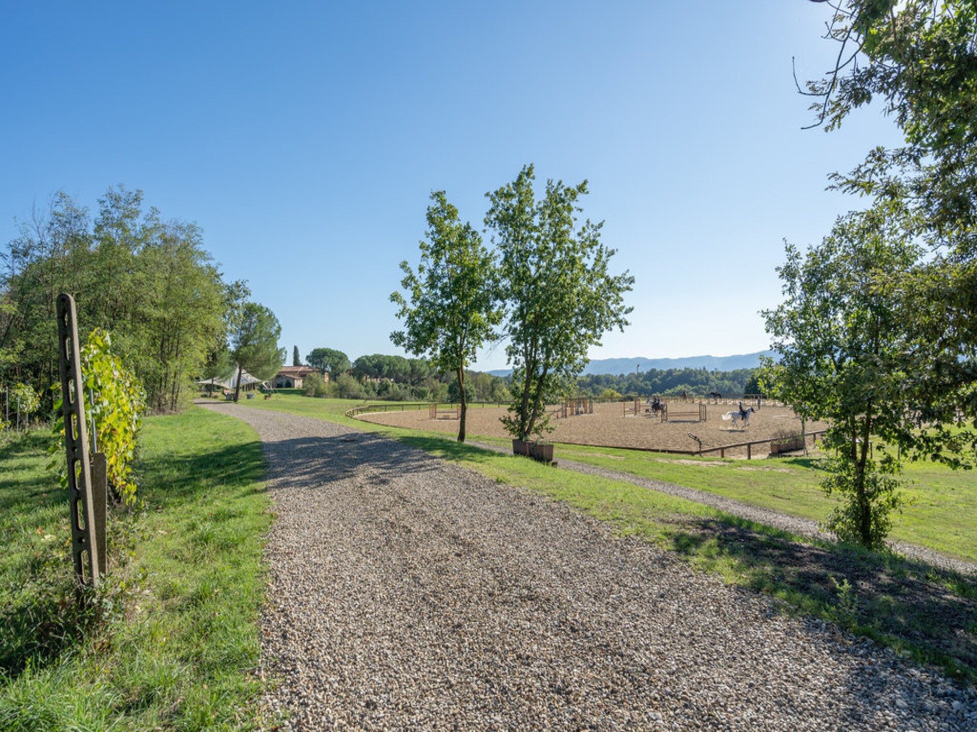 Ruim galerij-appartement voor 11 in Toscaans bos met zwembad - foto 14