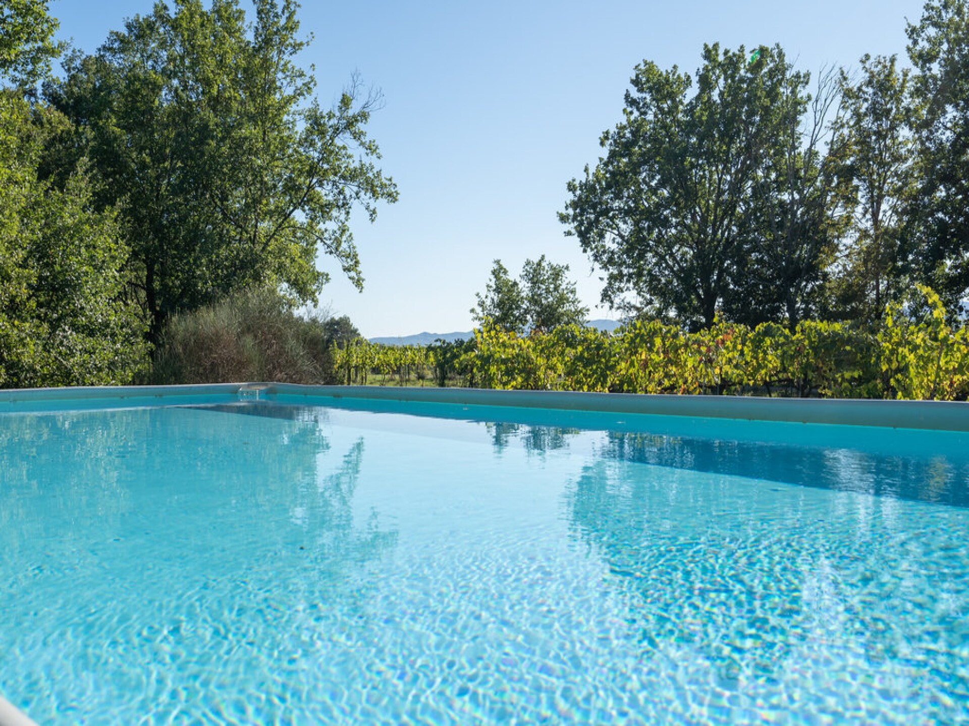 Ruim galerij-appartement voor 11 in Toscaans bos met zwembad - foto 2