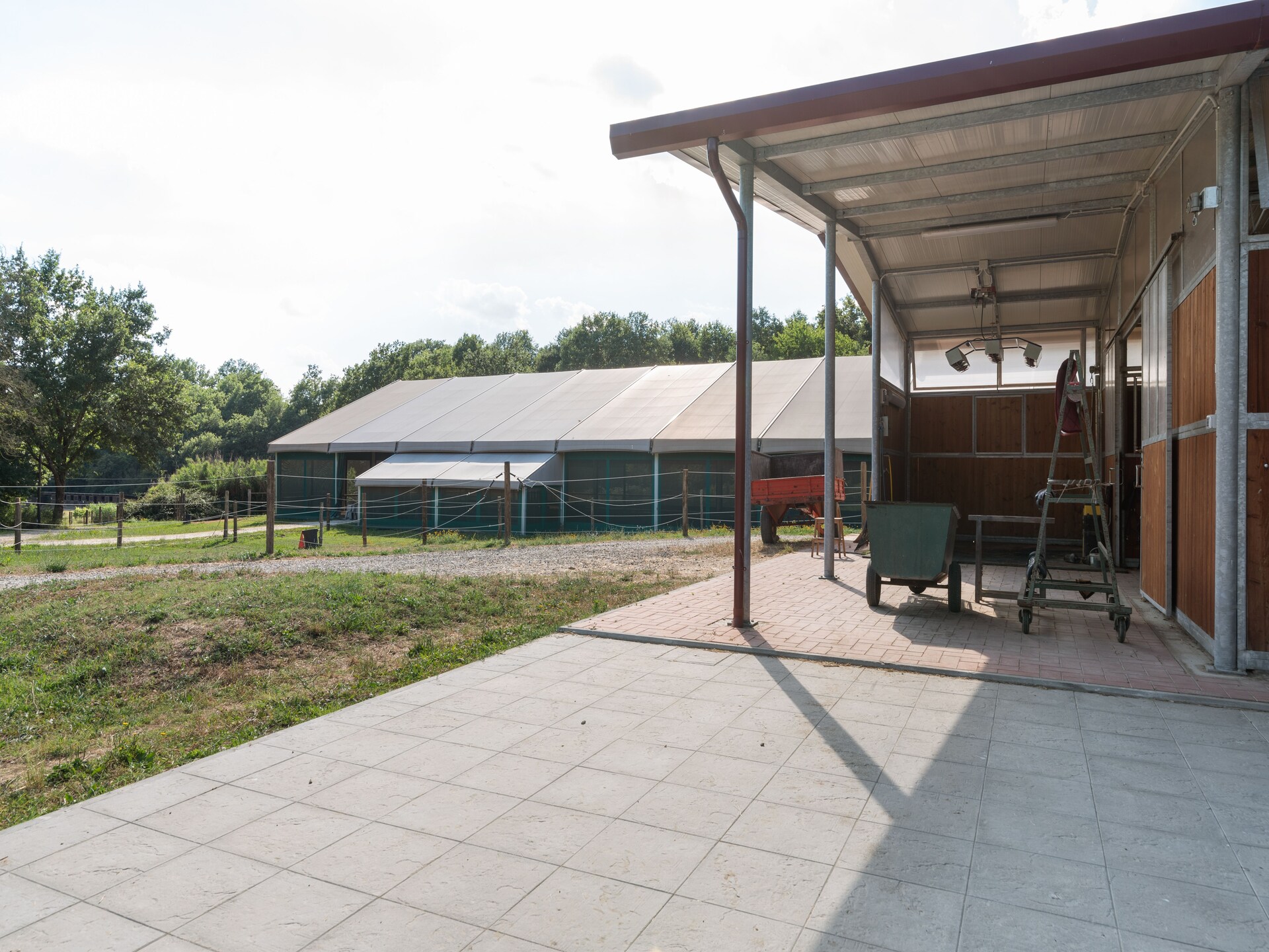 Ruim galerij-appartement voor 11 in Toscaans bos met zwembad - foto 35