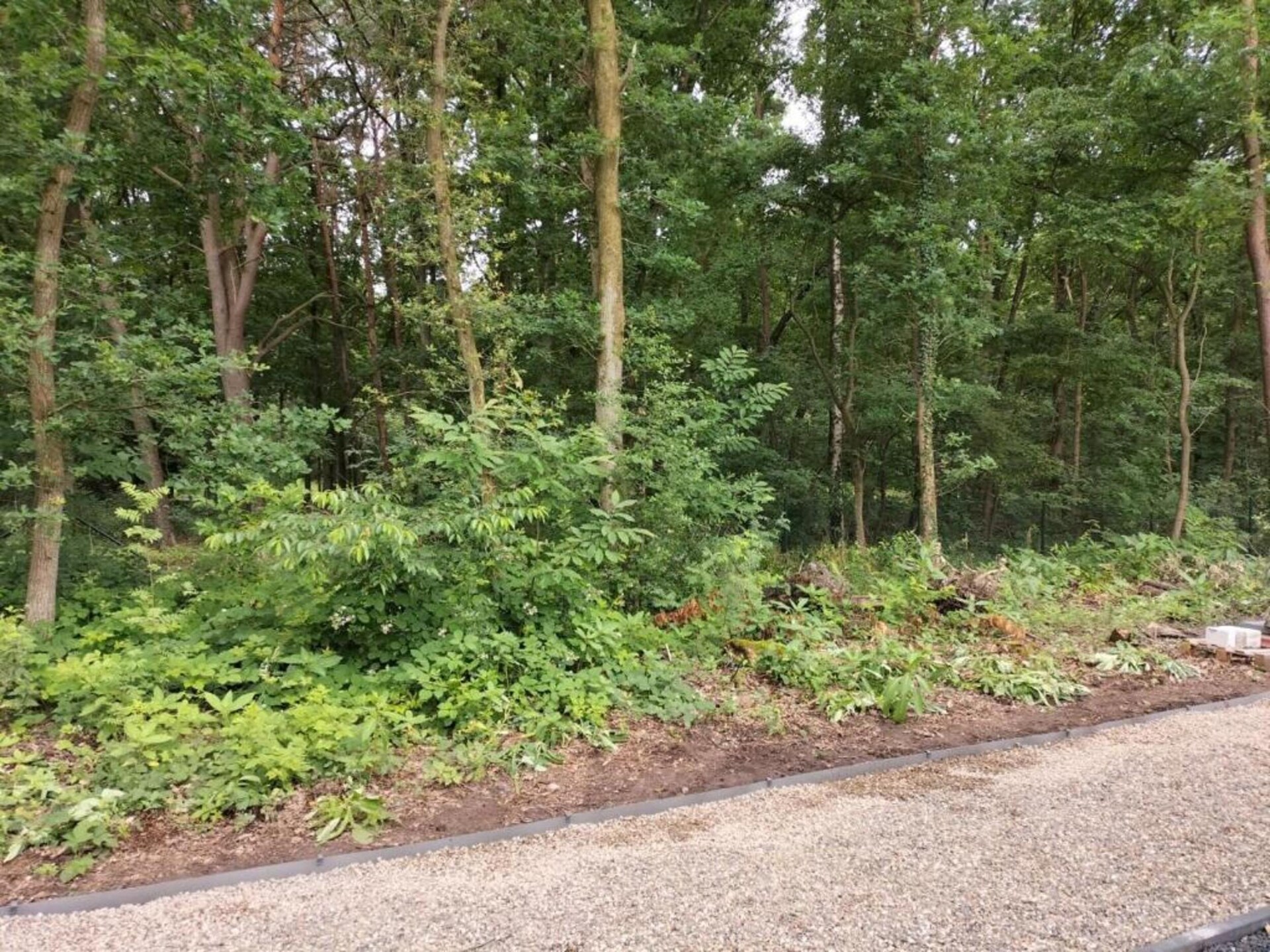 De Appelgaard: Ruim vakantiehuis voor 18 personen in Voeren met tuin en bar - foto 41
