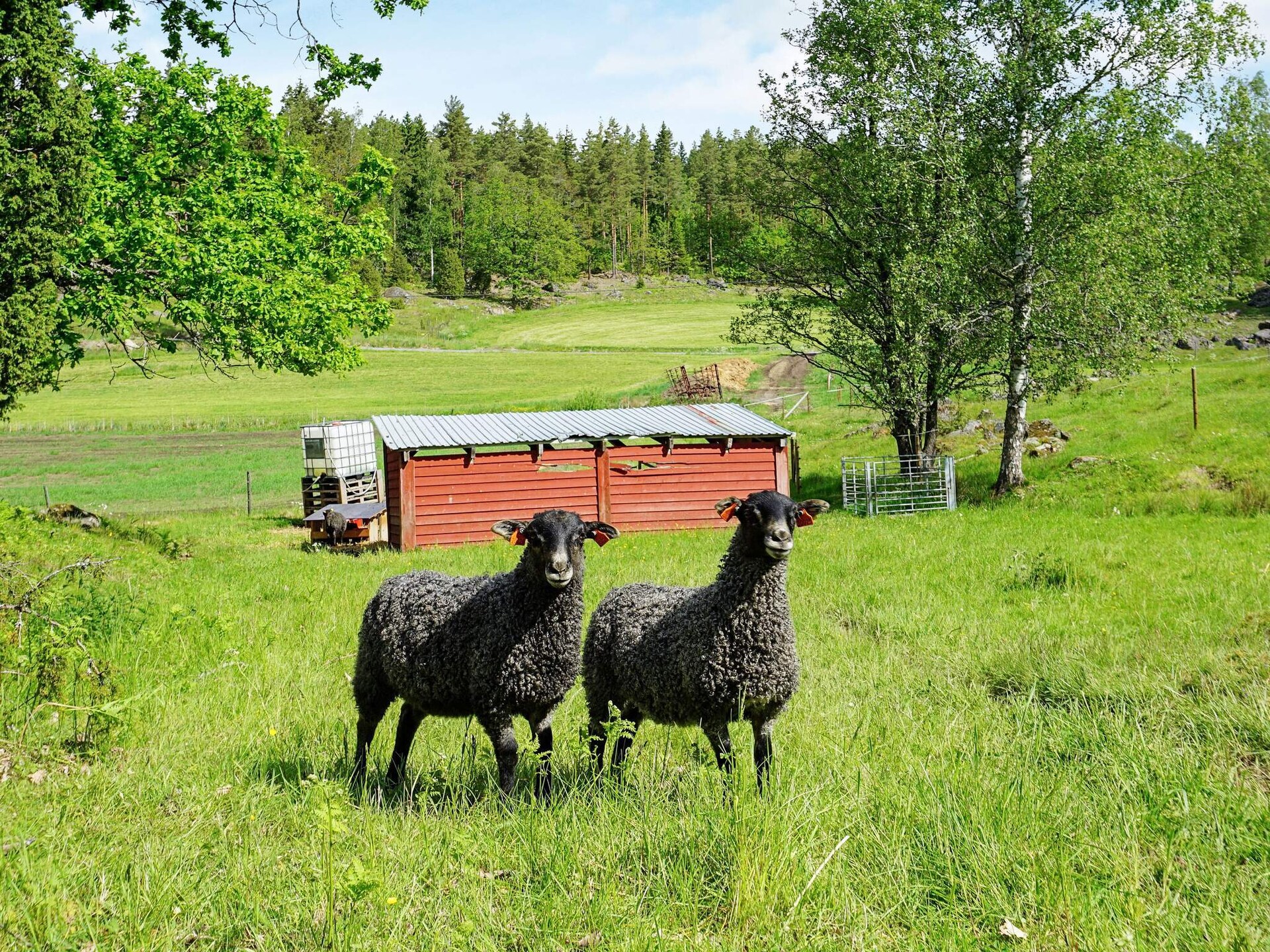 Landelijk vakantiehuis op Norrkärrs Gård bij meer in Mellösa, 4 personen - foto 21
