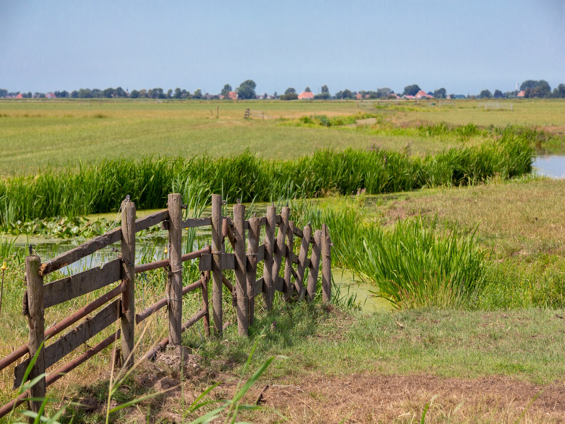 Modern vrijstaand vakantiehuis aan het water in Friesland - foto 11