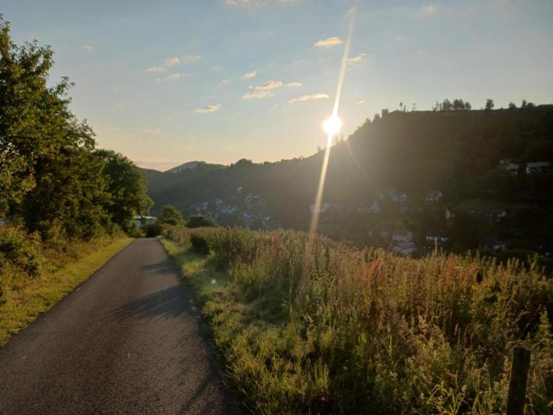 Knus appartement aan de piste in Willingen met bos- en bergzicht - foto 24