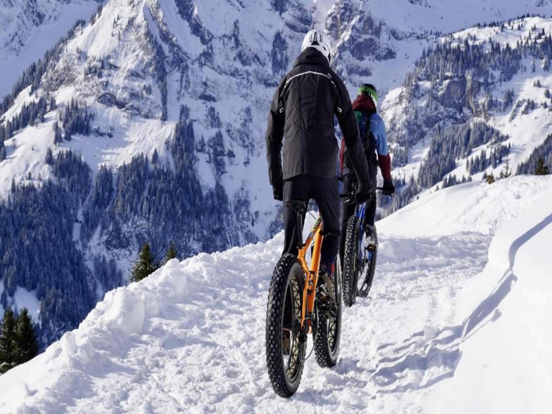 Knus appartement aan de piste in Willingen met bos- en bergzicht - foto 40
