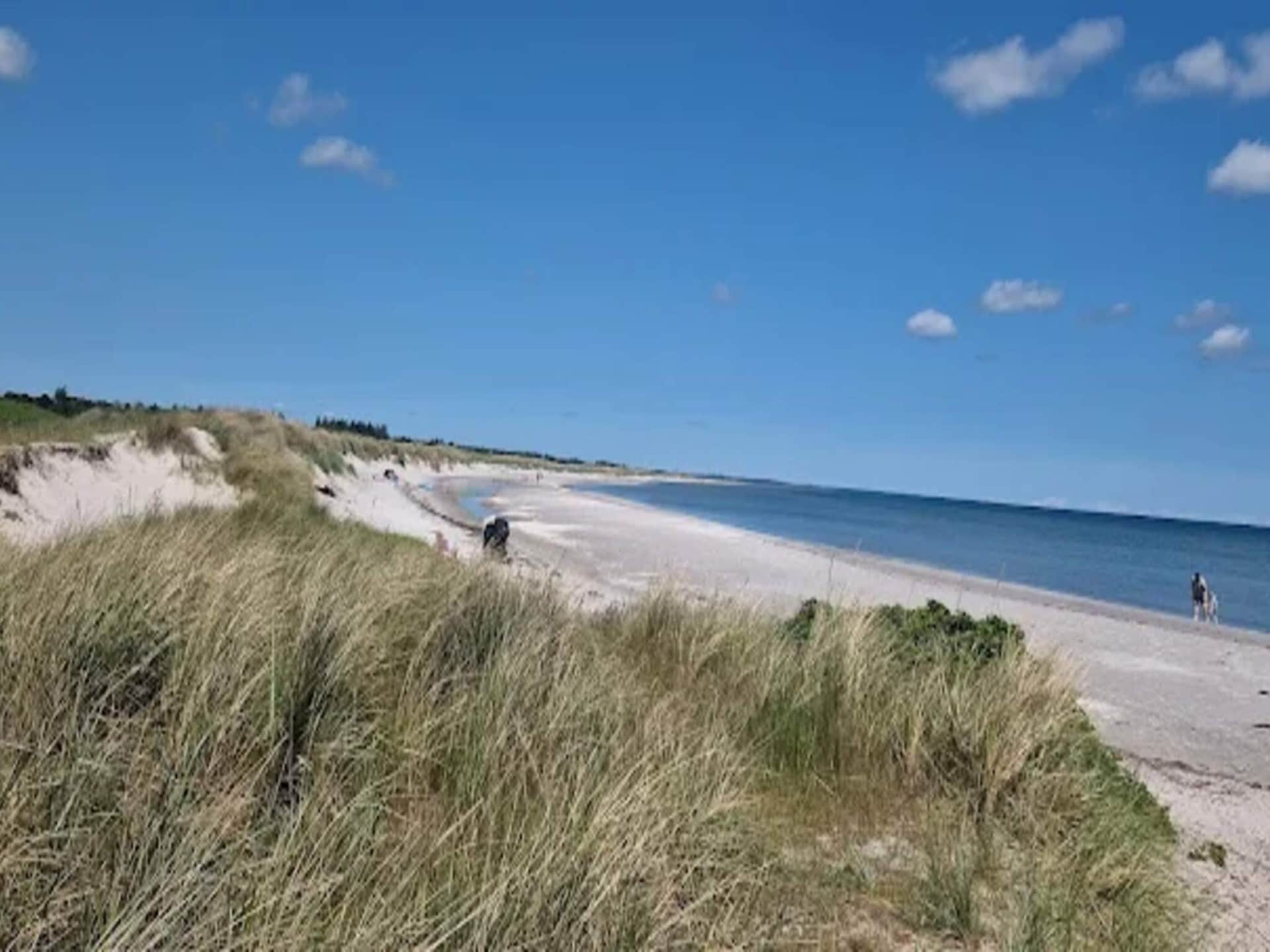 Op 300 m van zee: gezellig vakantiehuis voor 6 personen in Hals - foto 25
